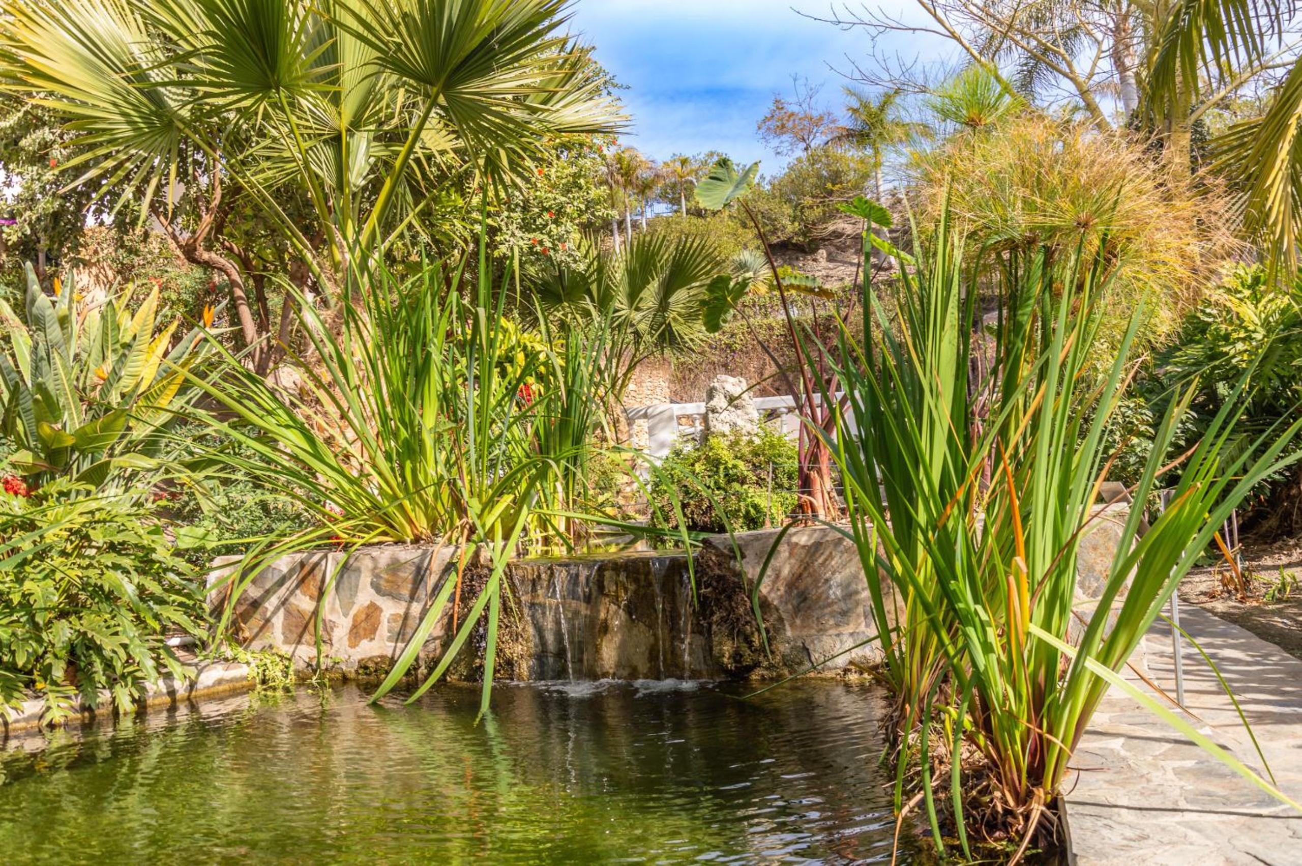 Tetuan 15 - Oasis Properties photo 3