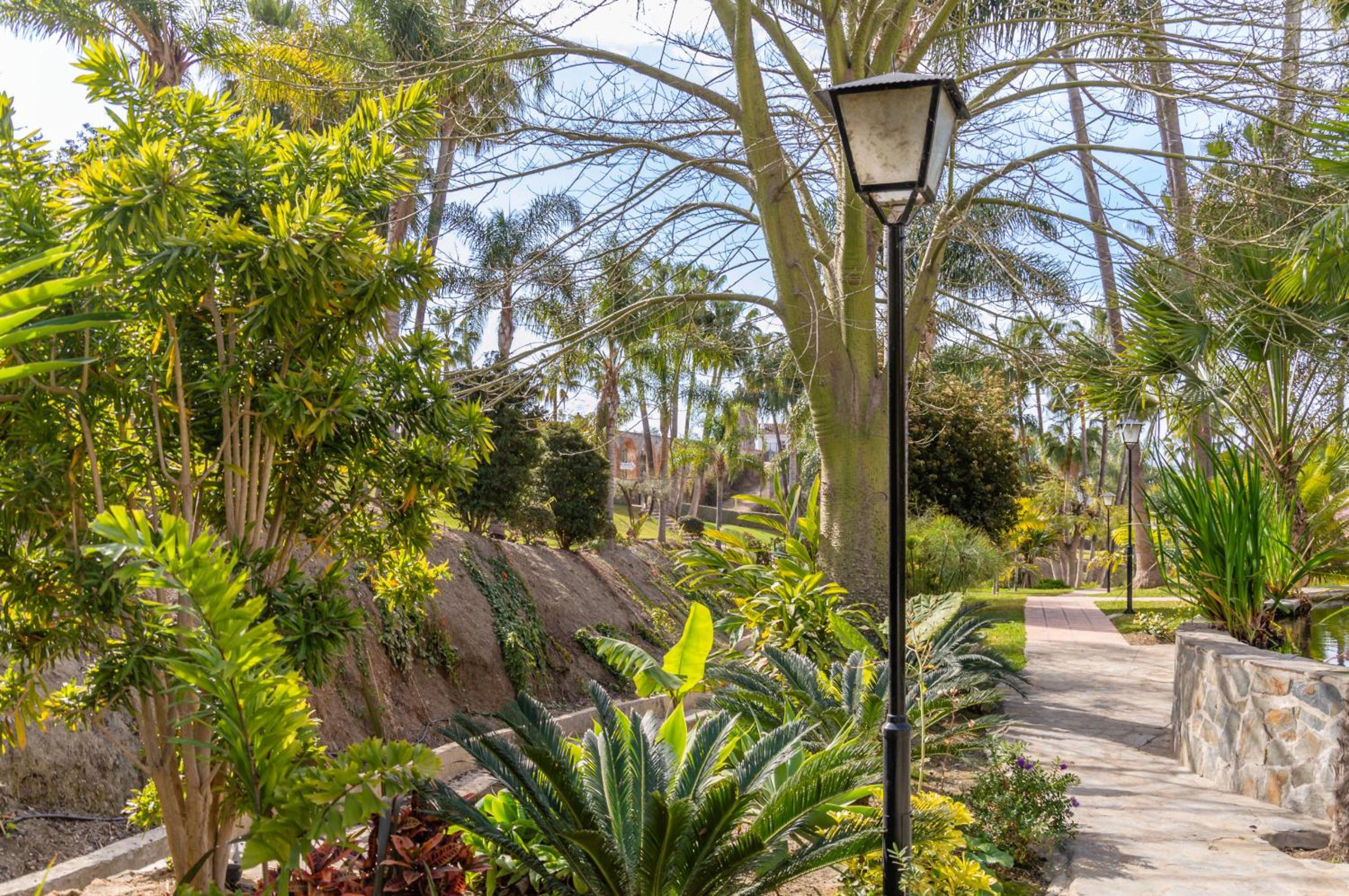 Tetuan 15 - Oasis Properties view 2