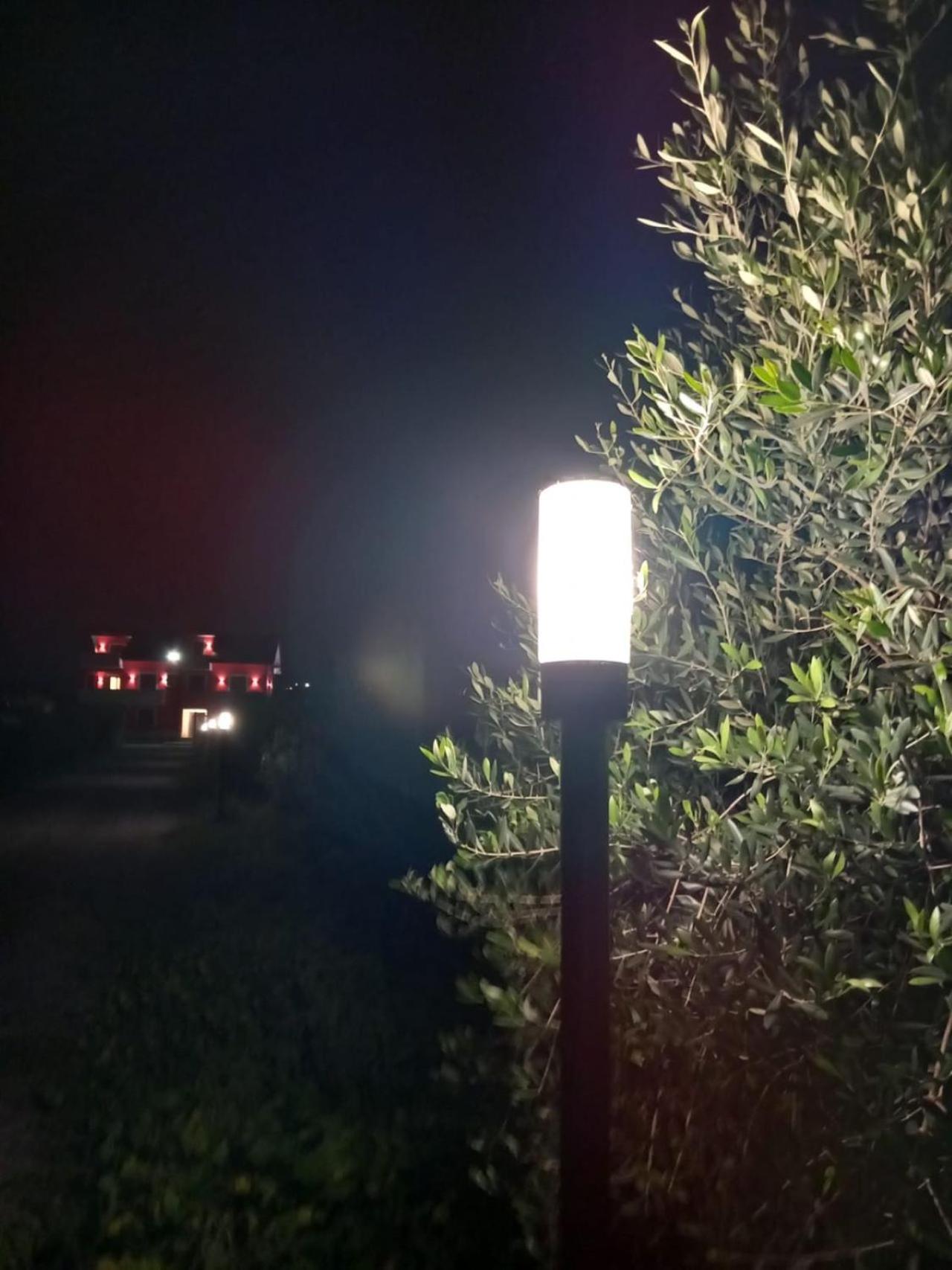 Villa degli Ulivi view 5