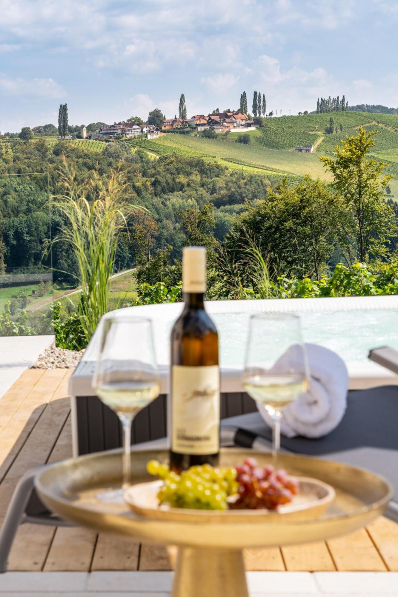 steiRerBLiCke - Domaine Sernau Sauvignon
