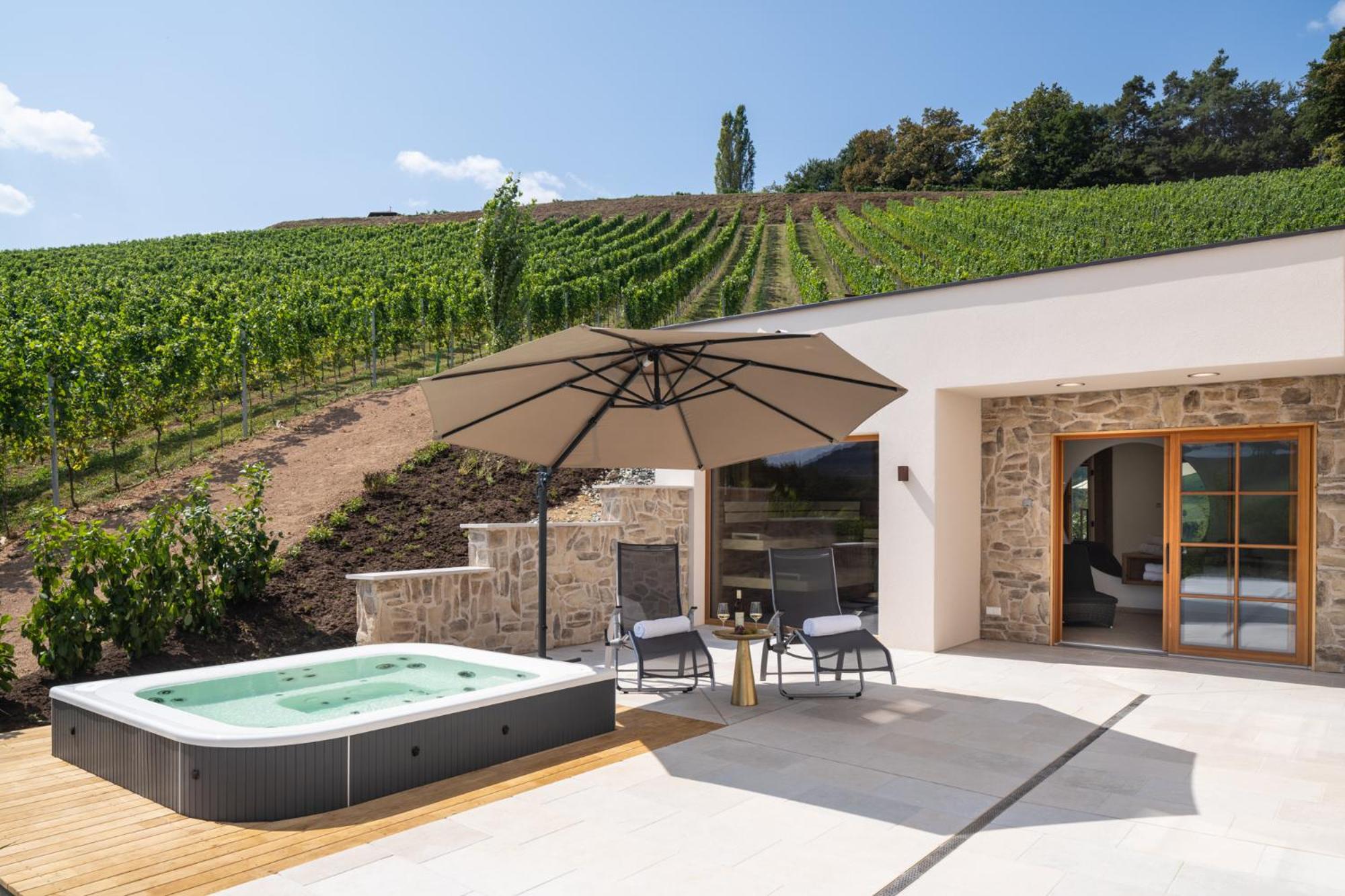 steiRerBLiCke - Domaine Sernau Sauvignon