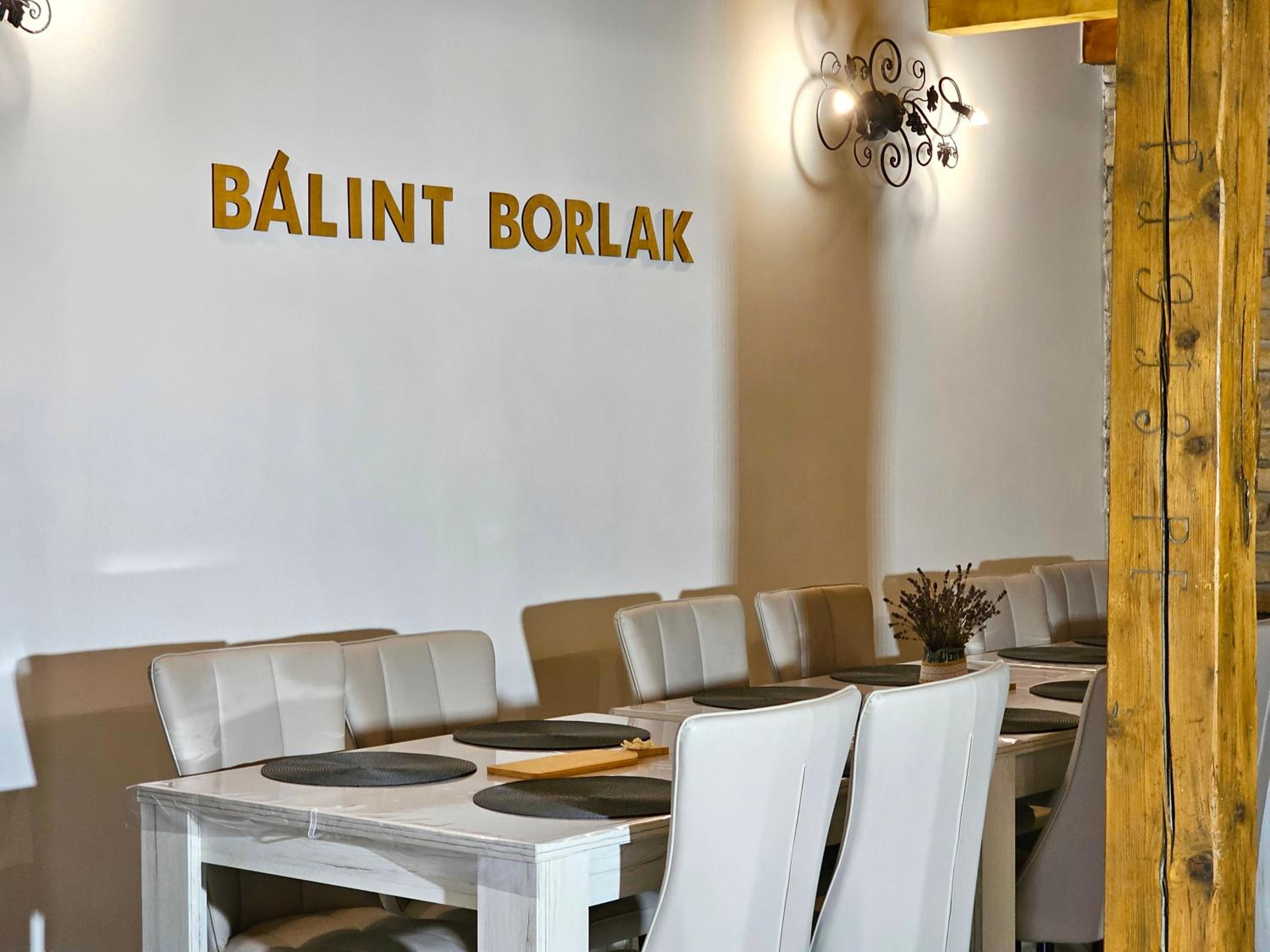 Bálint Borlak