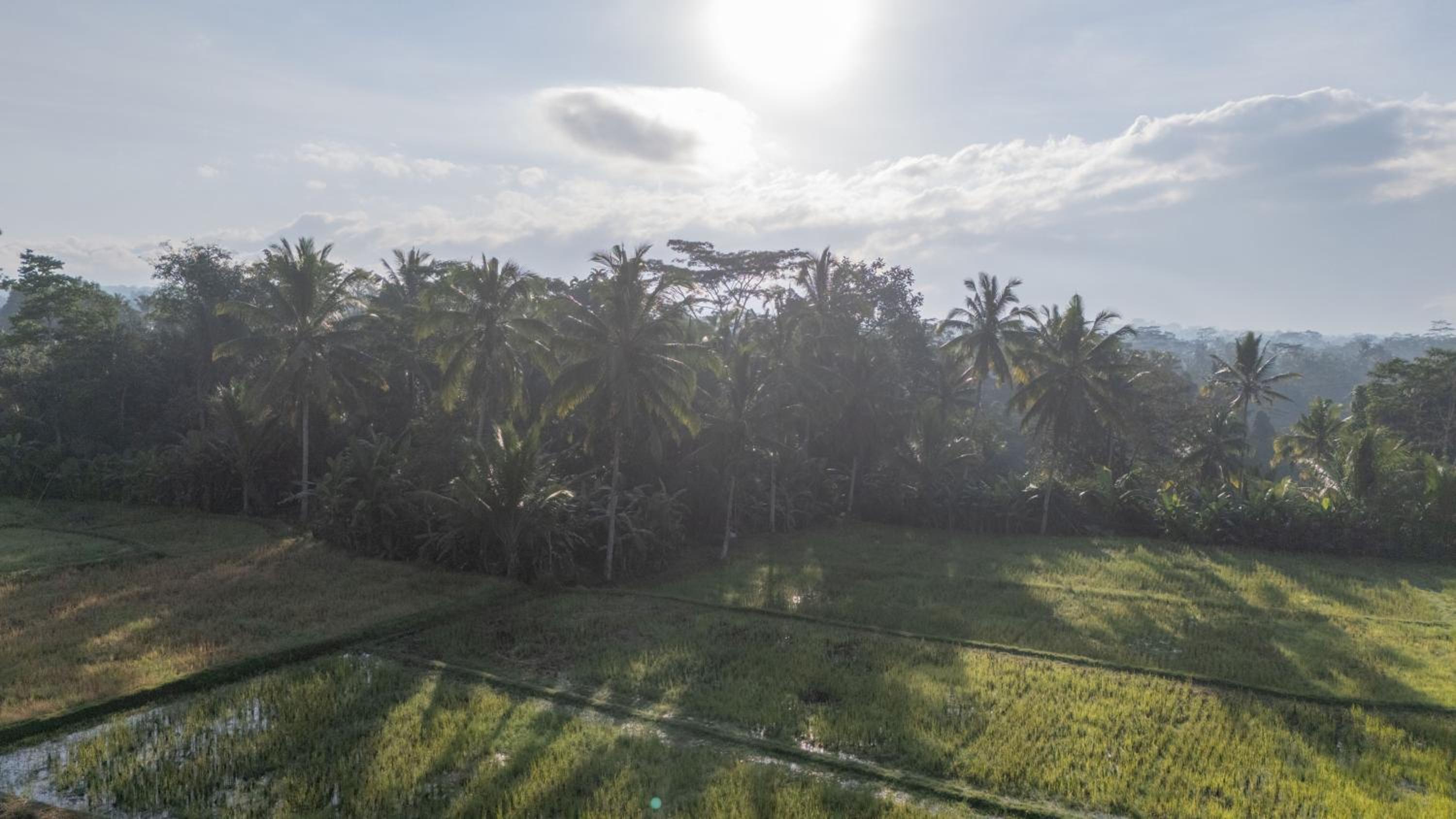 Aditara Sebatu Villa