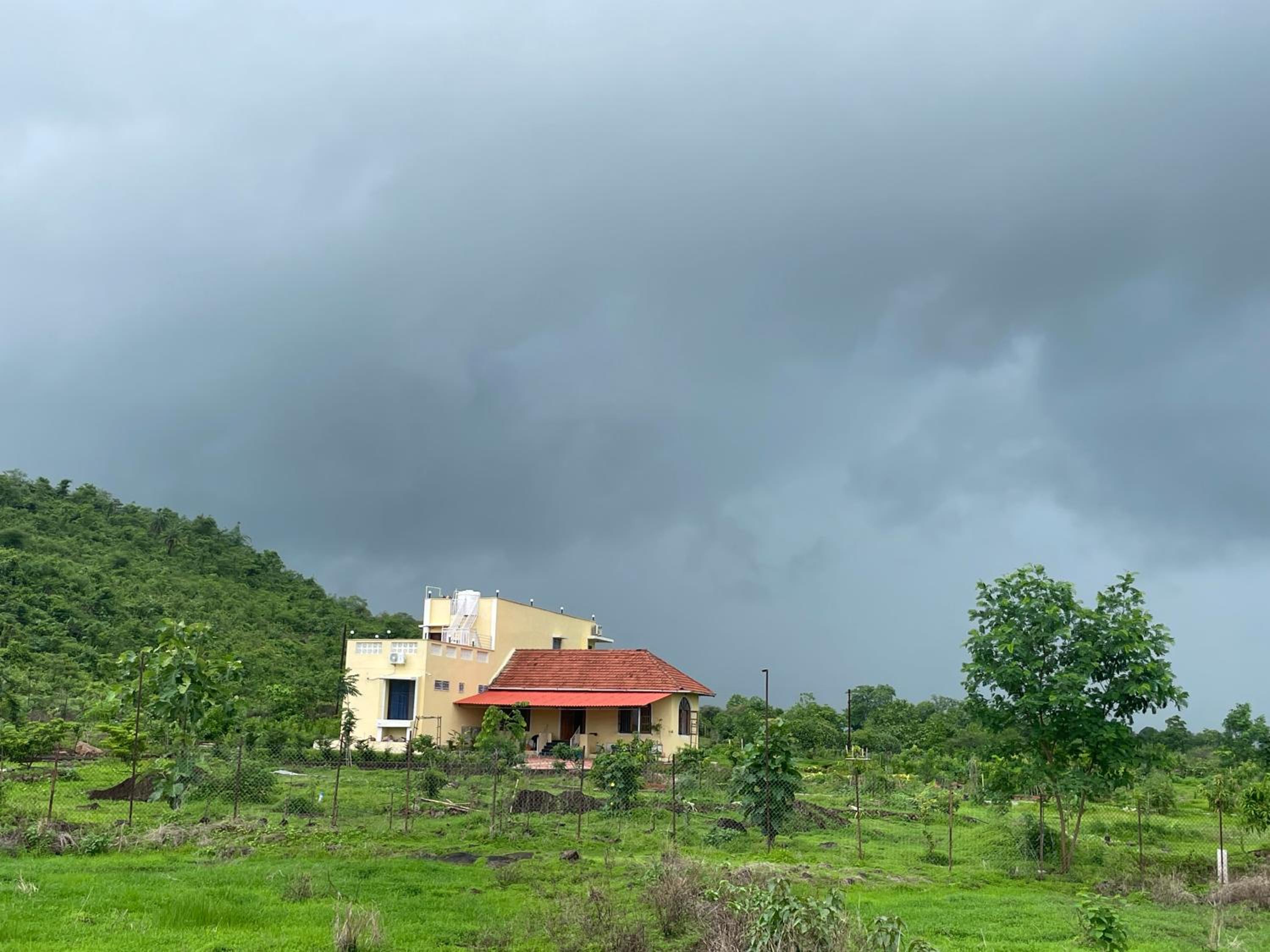 Vana The Forest Farm view 3