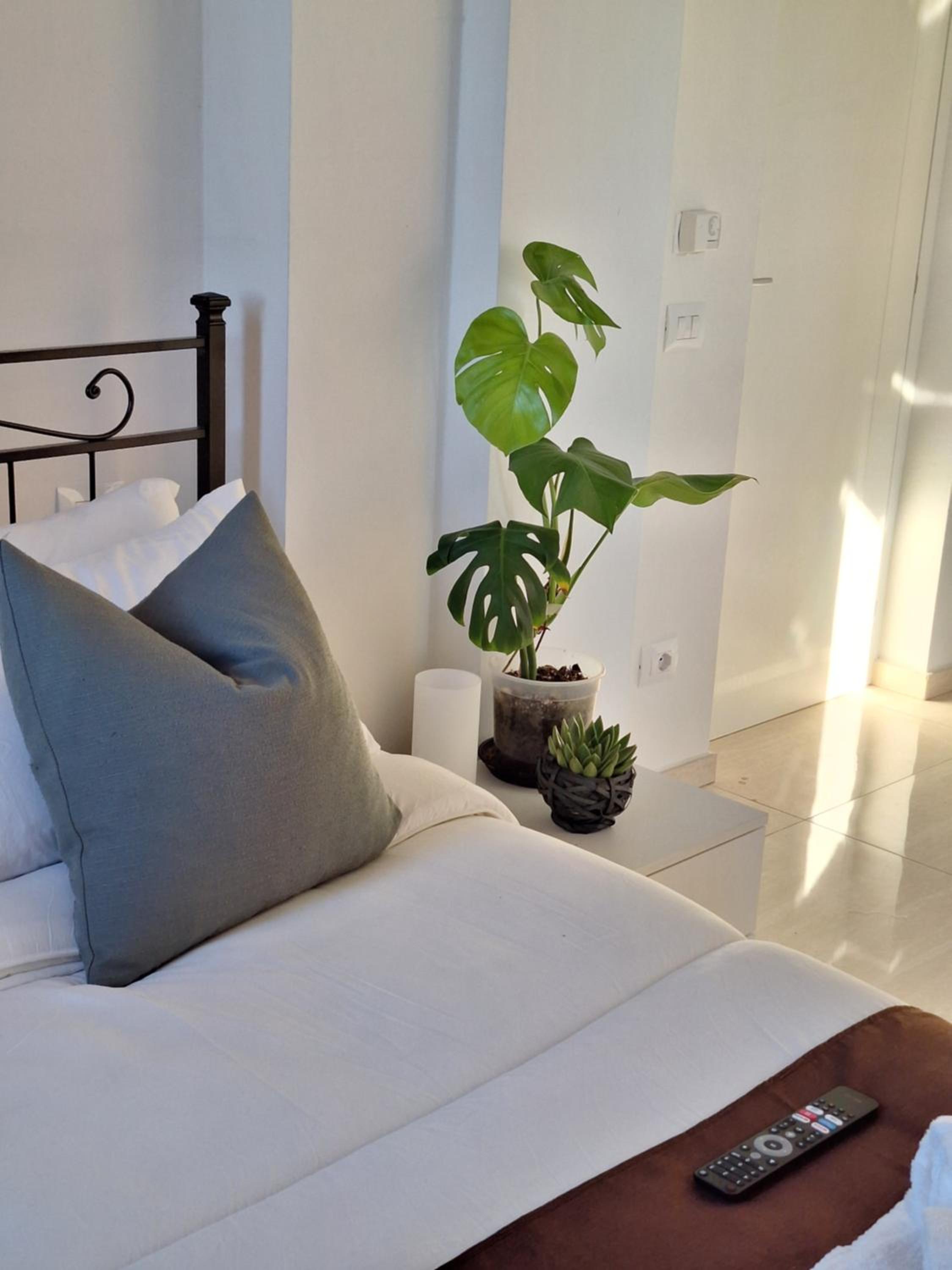 San Vincenzo Rooms photo 3