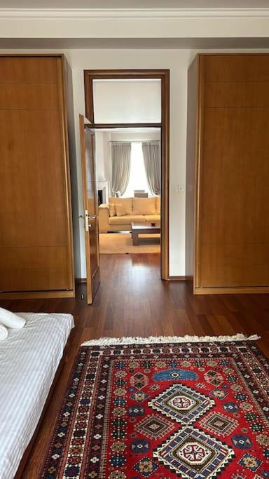 Central luxuries spacious appartment