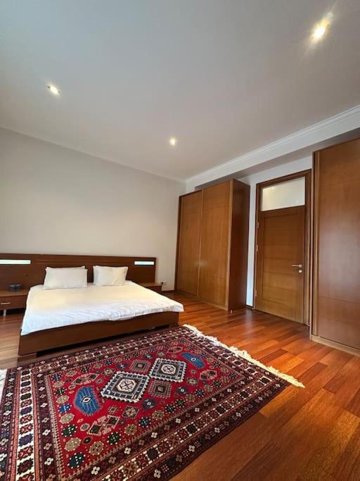 Central luxuries spacious appartment