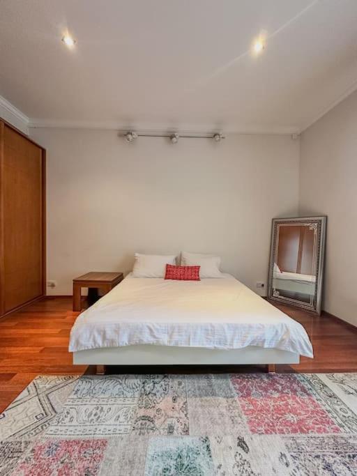 Central luxuries spacious appartment