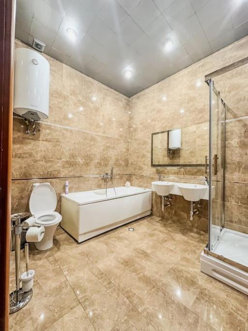 Central luxuries spacious appartment