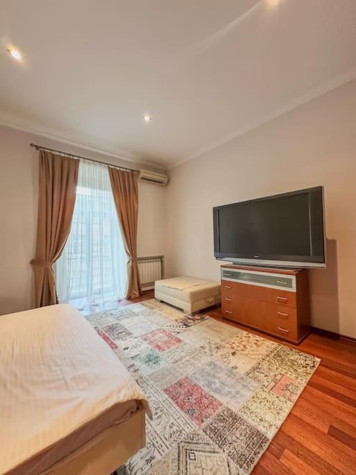 Central luxuries spacious appartment