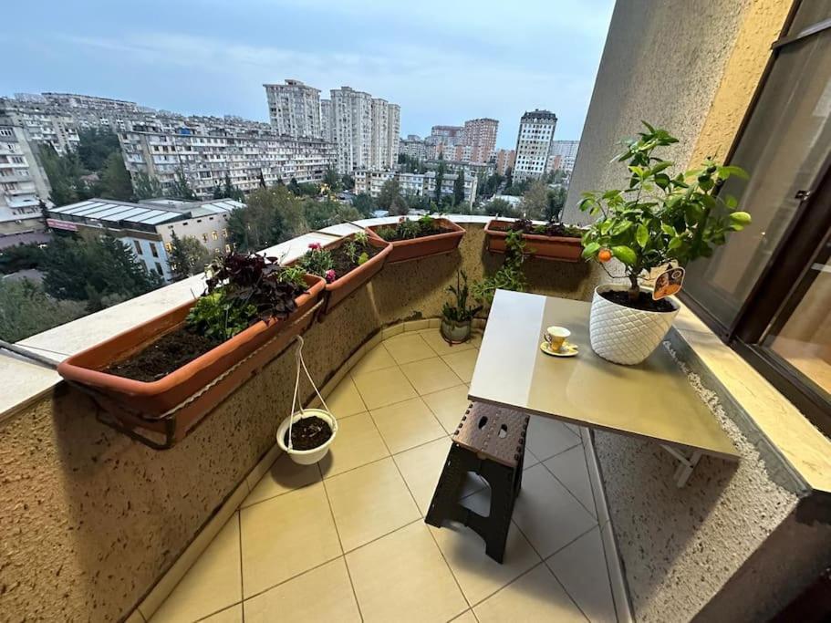 Shila House
