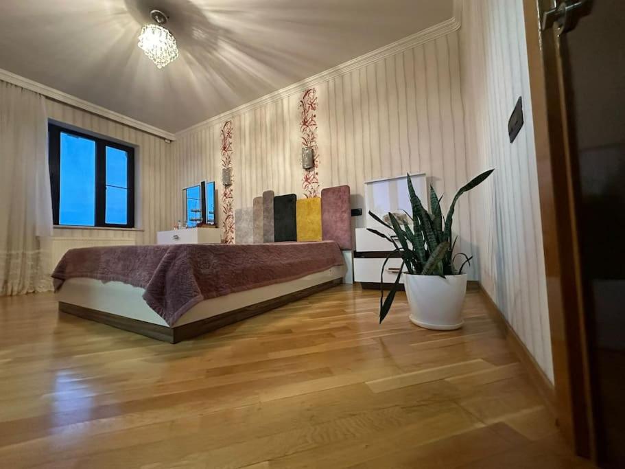 Shila House