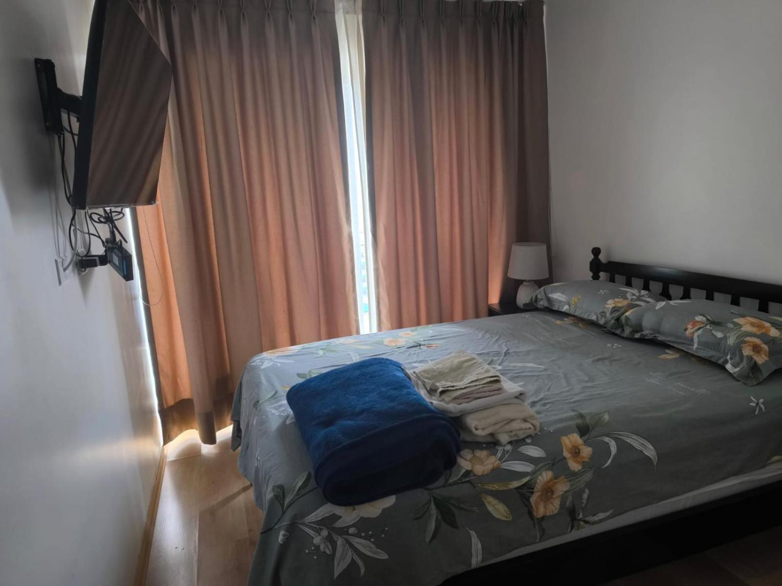 Flat Arenales view 2
