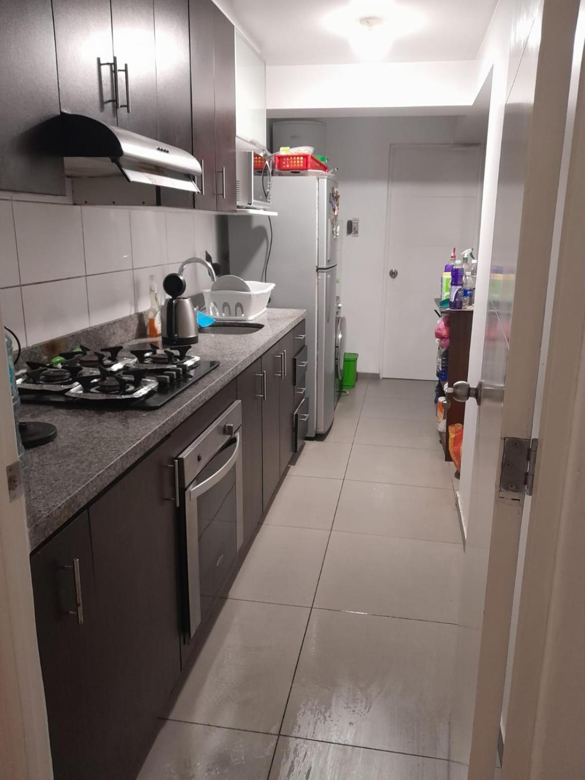 Flat Arenales view 5
