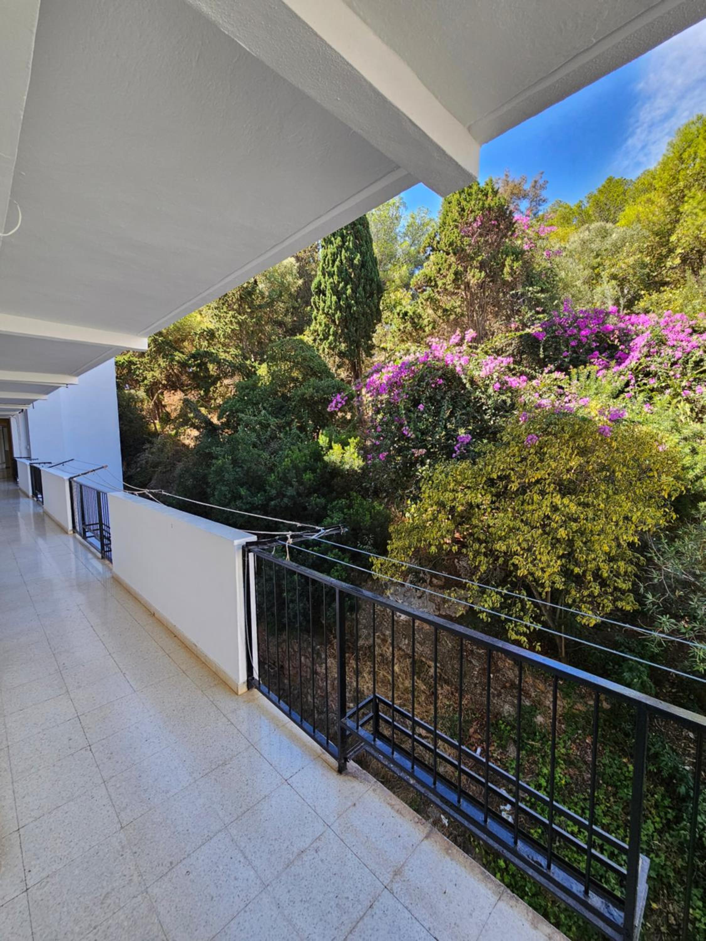 Apartamento Florido photo 3