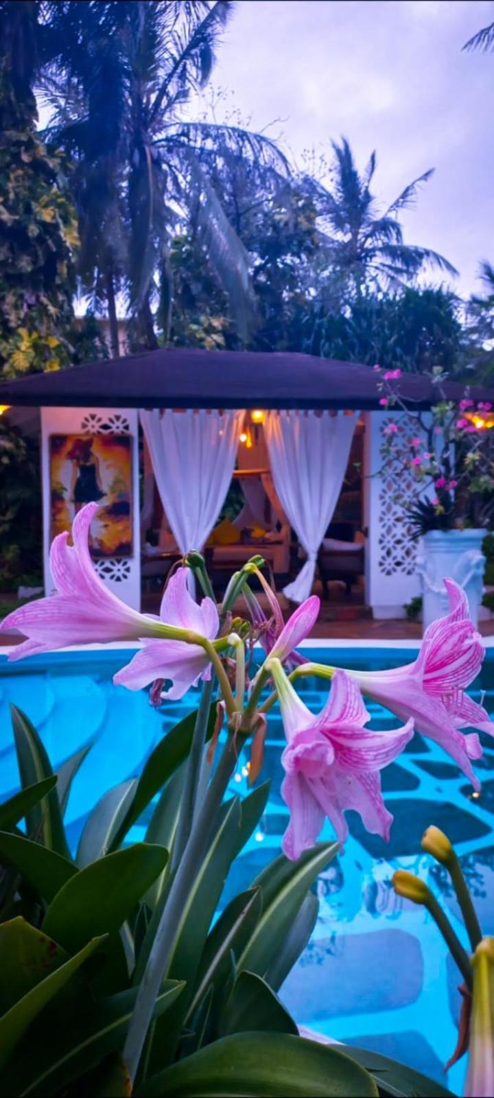 African House Resort