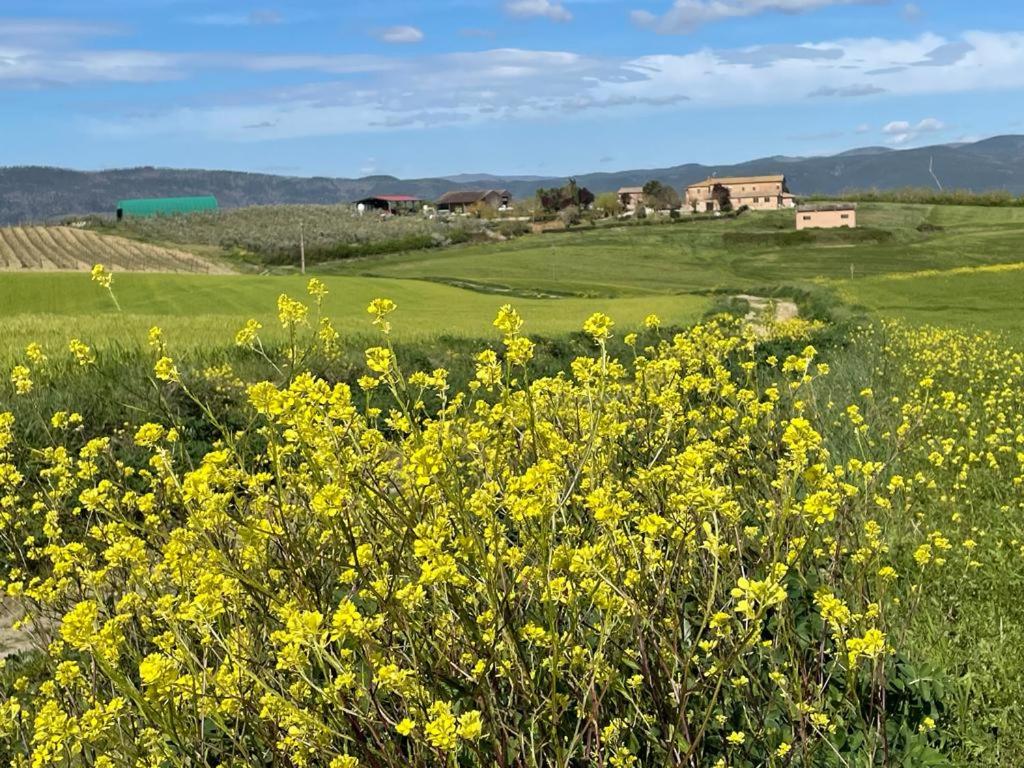 Agriturismo Podere Il Moro