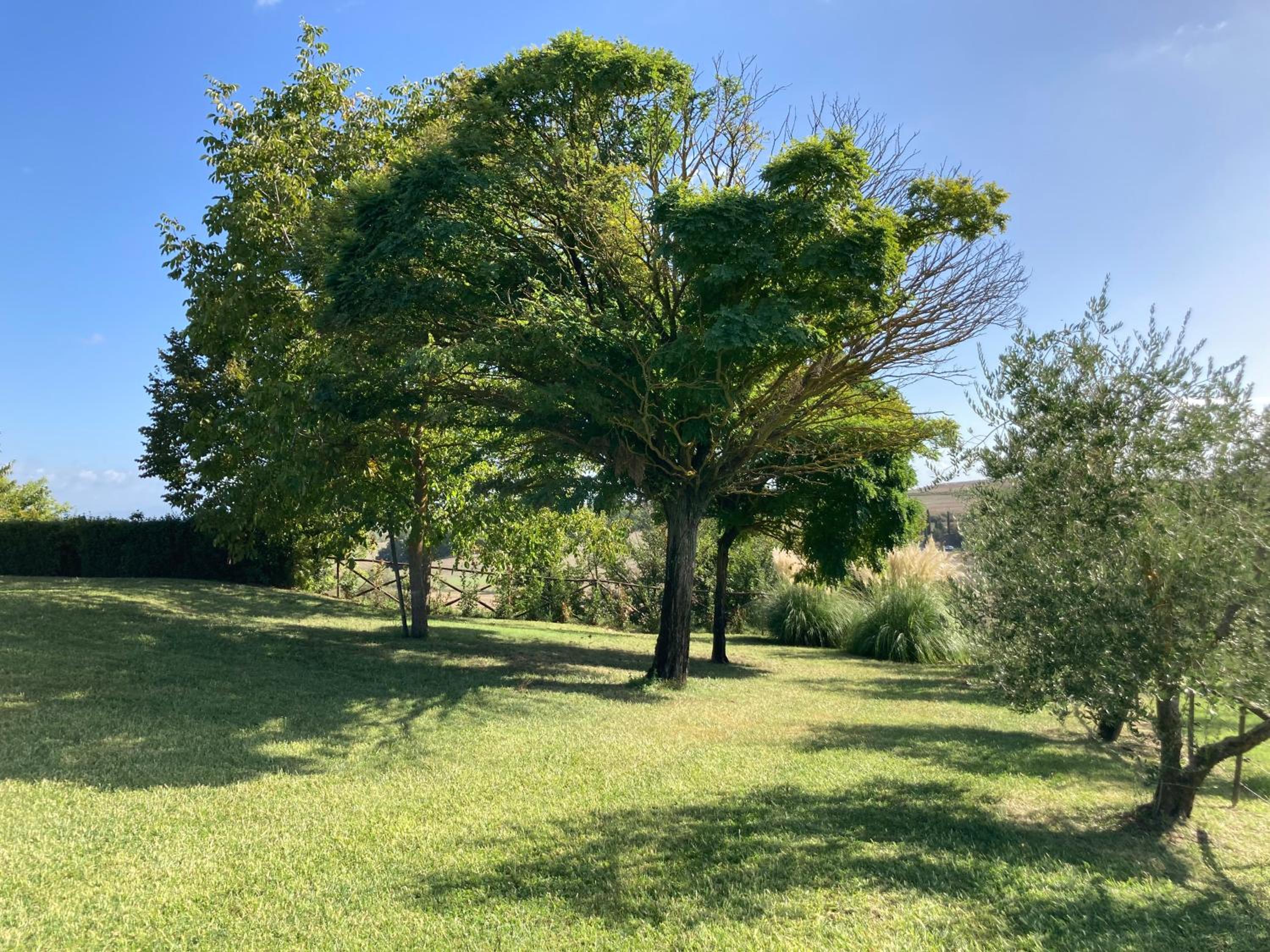 Agriturismo Podere Il Moro