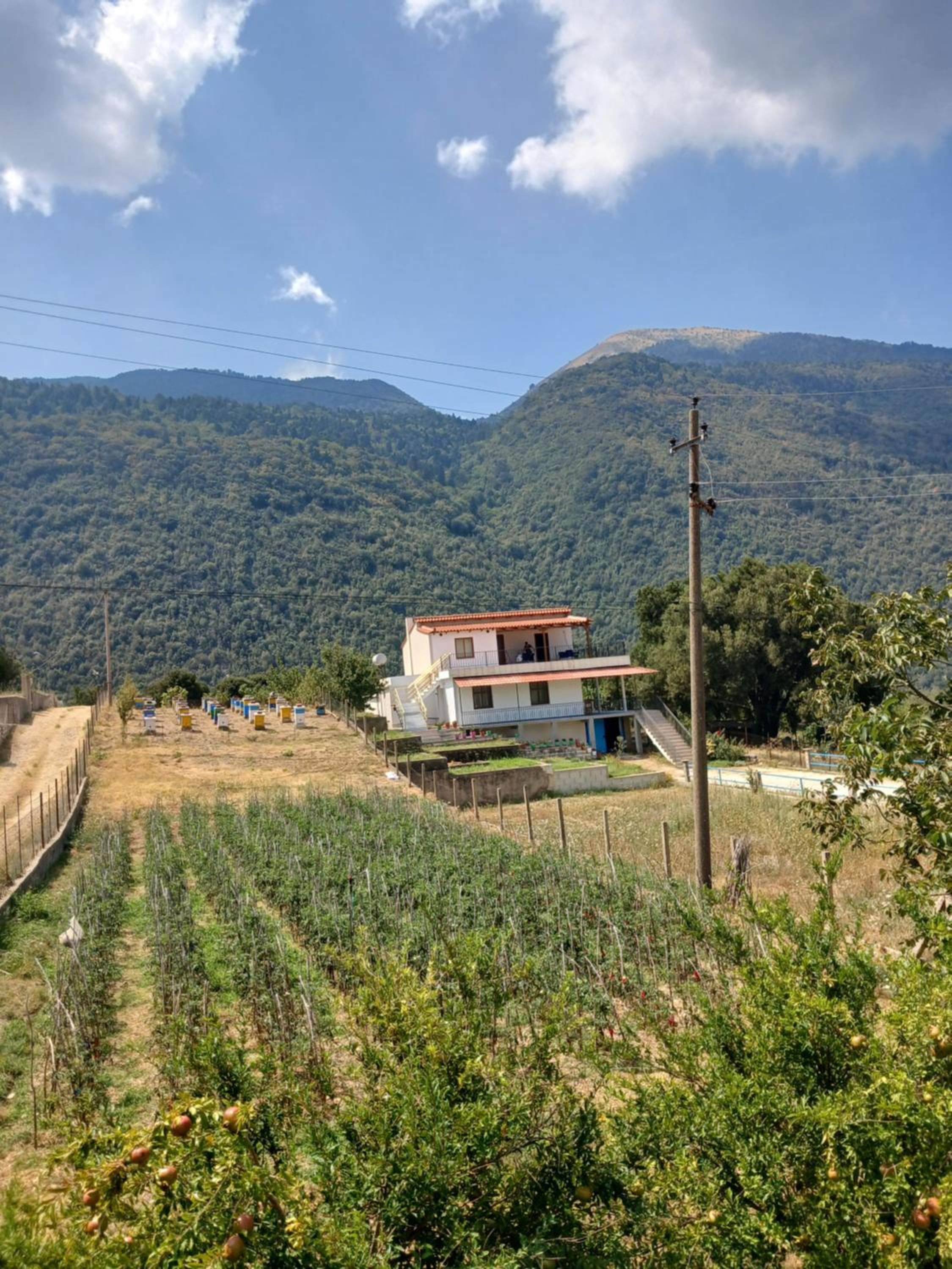 Ari's cozy rooms, Llogara