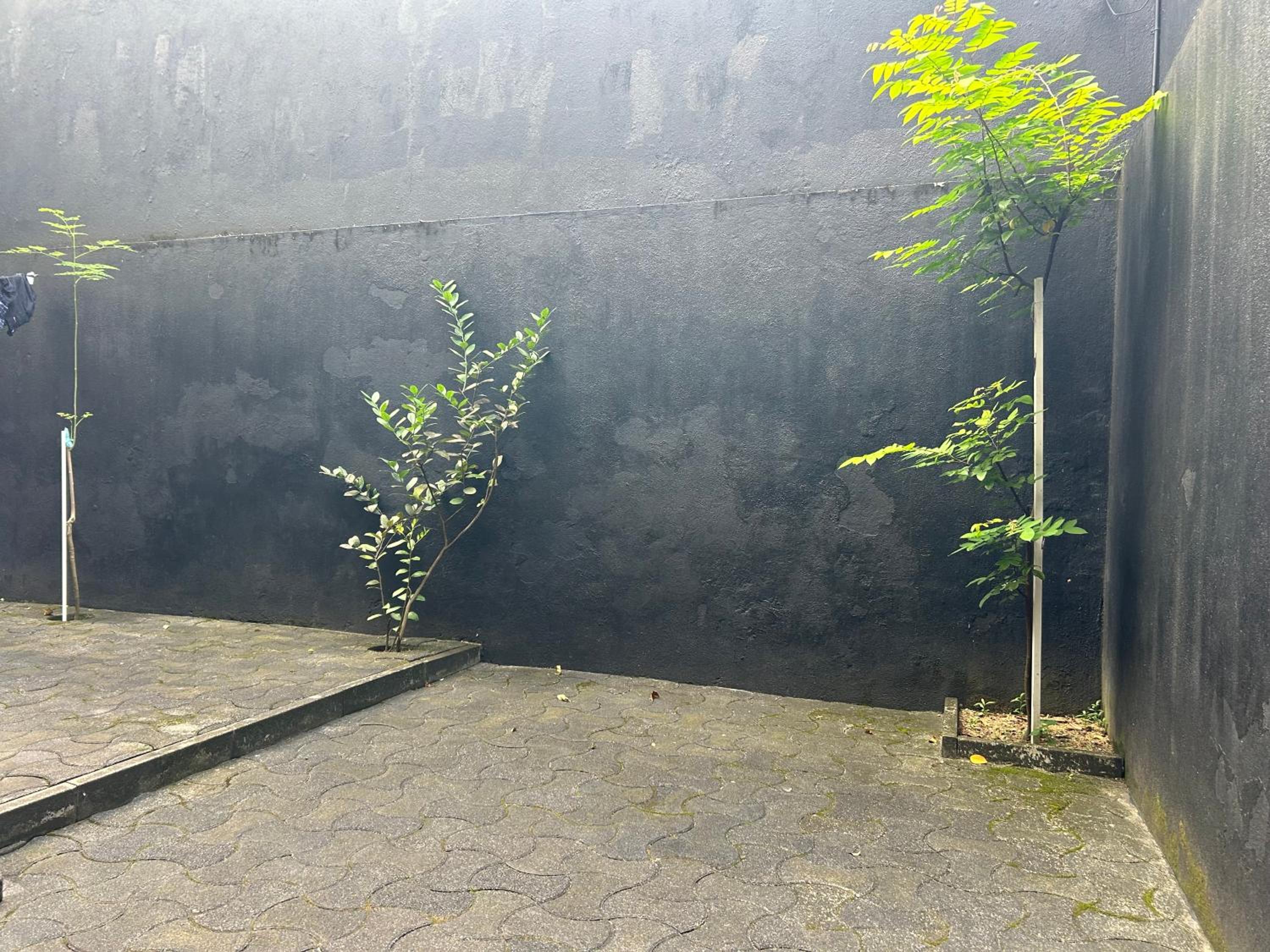Photo 57