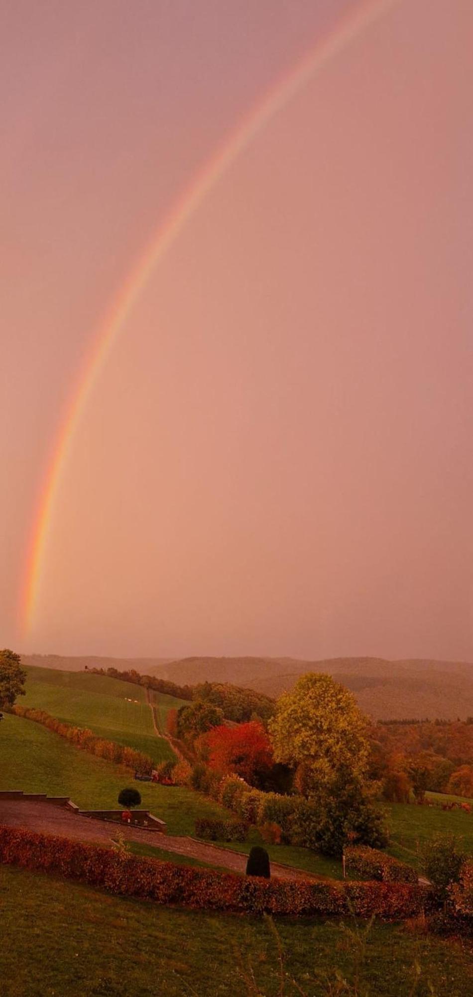 Fewo-Eifel-Morsbach view 4