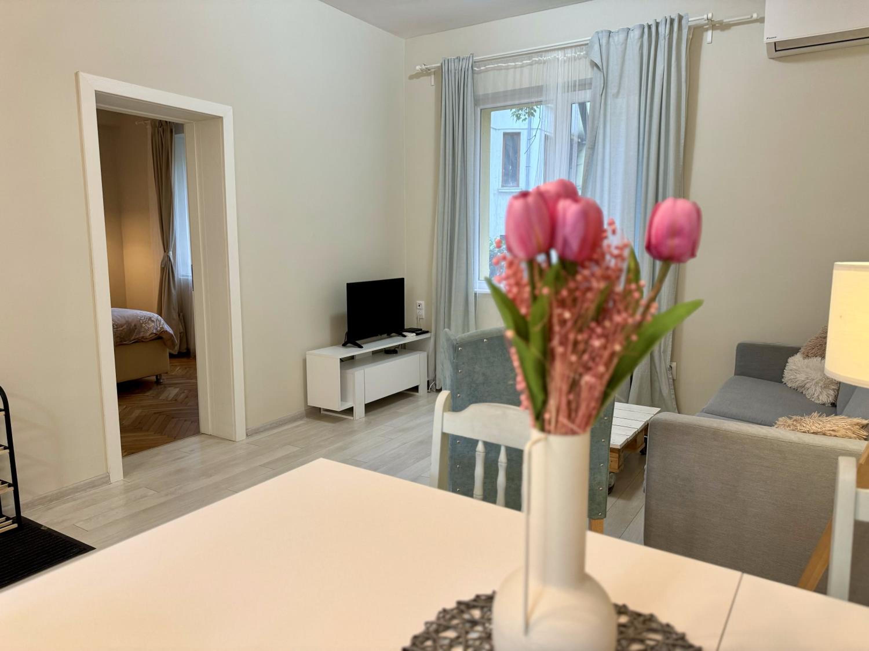 Sofia center - VisionZ apartment