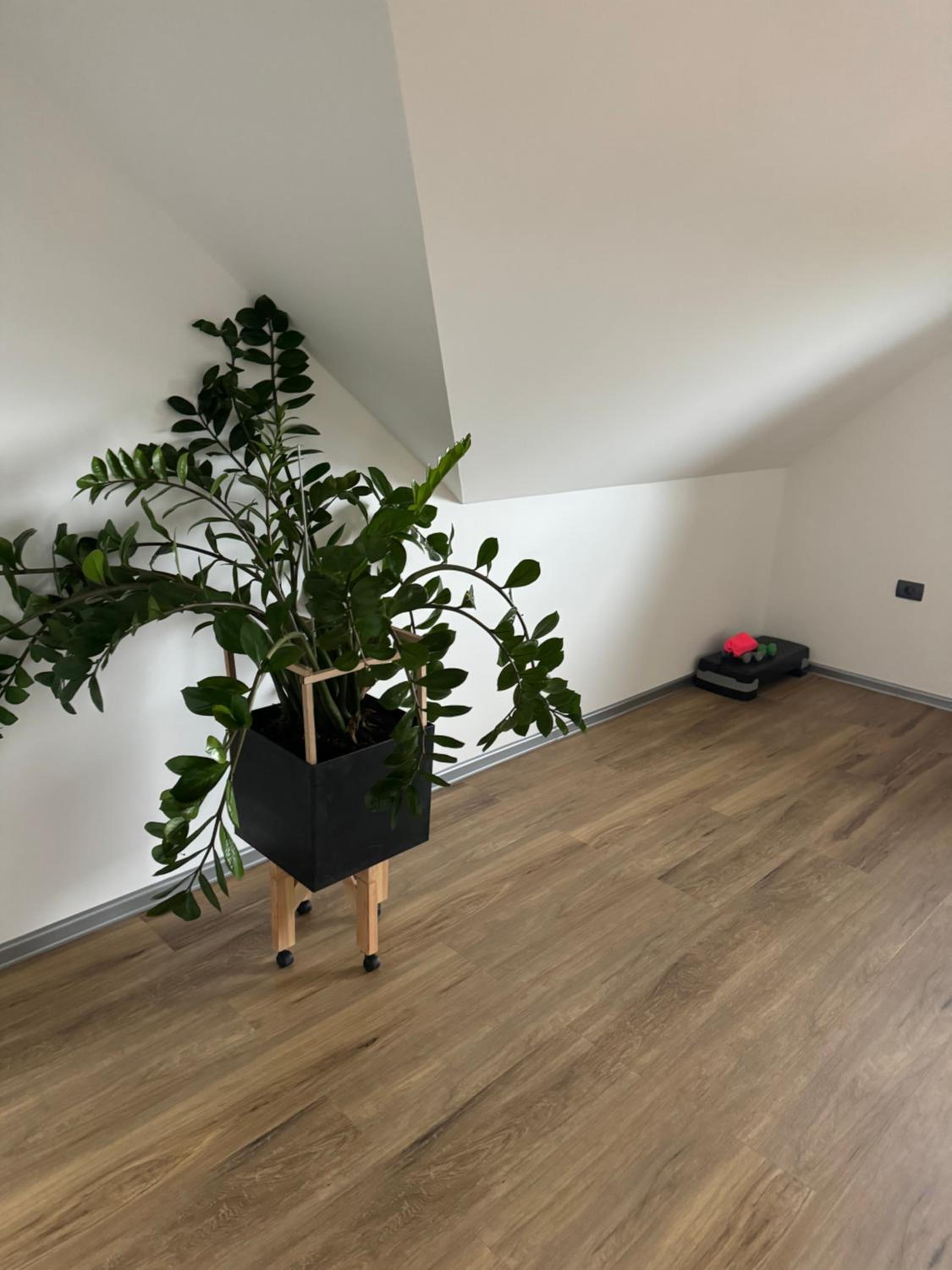 Apartma Ajdica