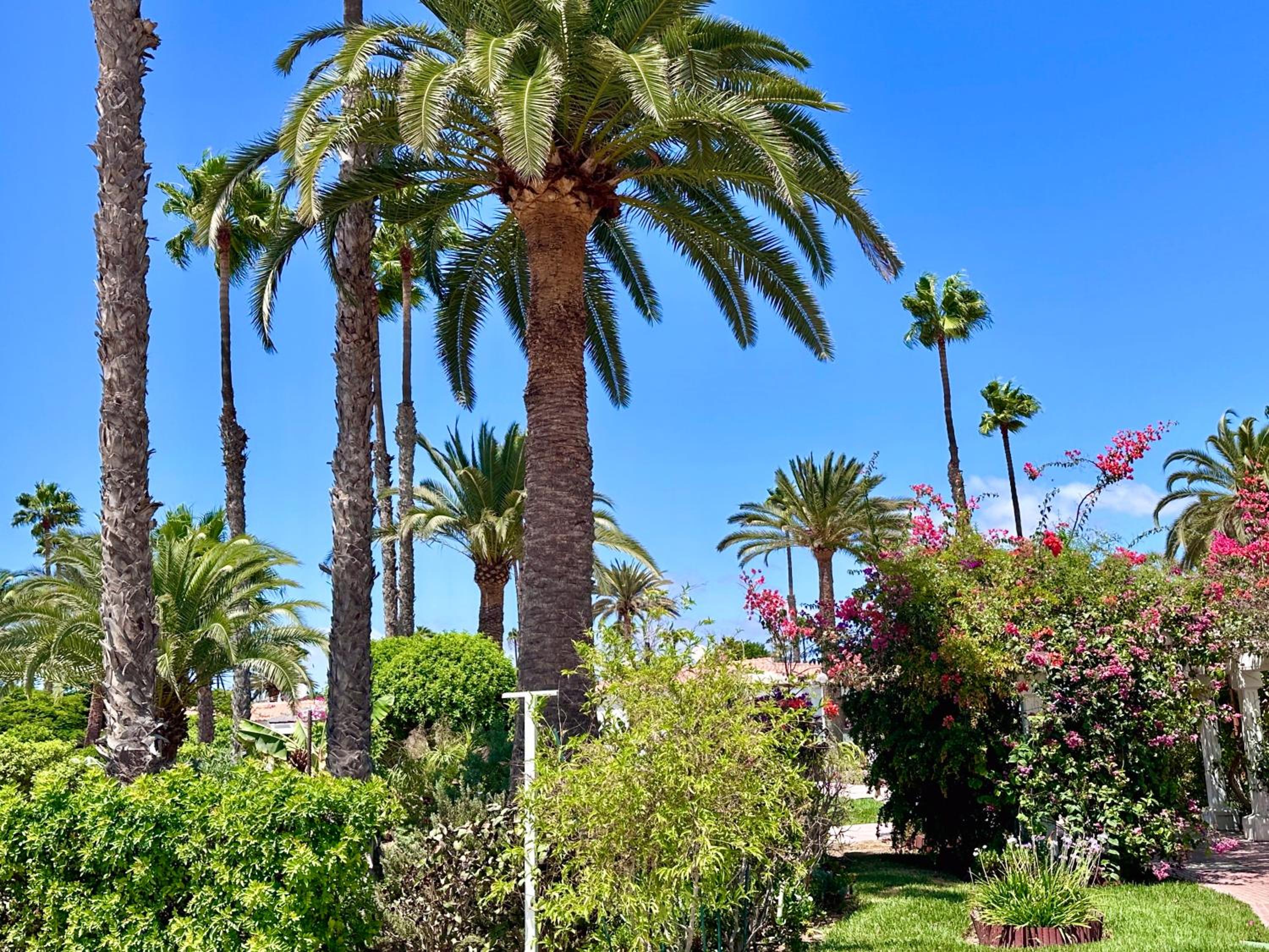 House Deluxe Maspalomas