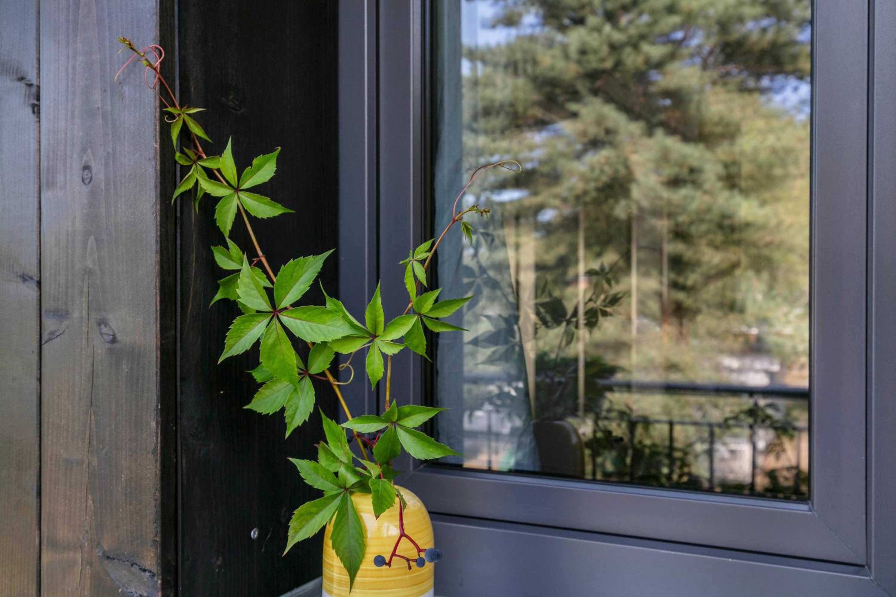 Ferienwohnung 250m zum Grimnitzsee