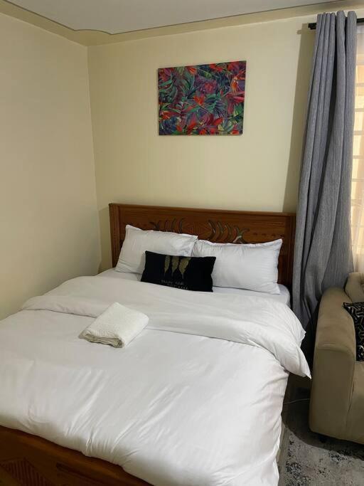 Spacious Studio in South B Nearby Mombasa Road view 4