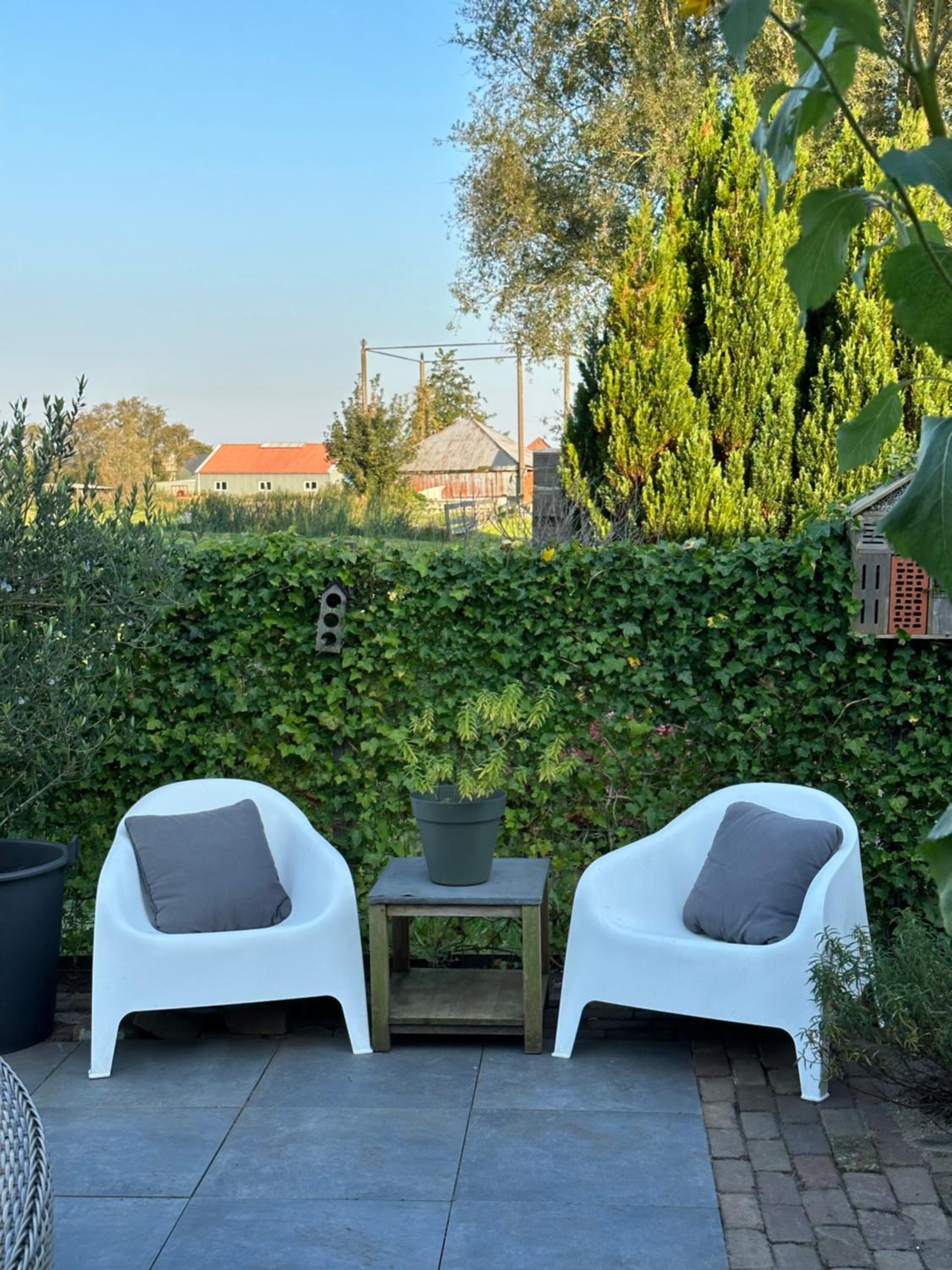 Photo 21