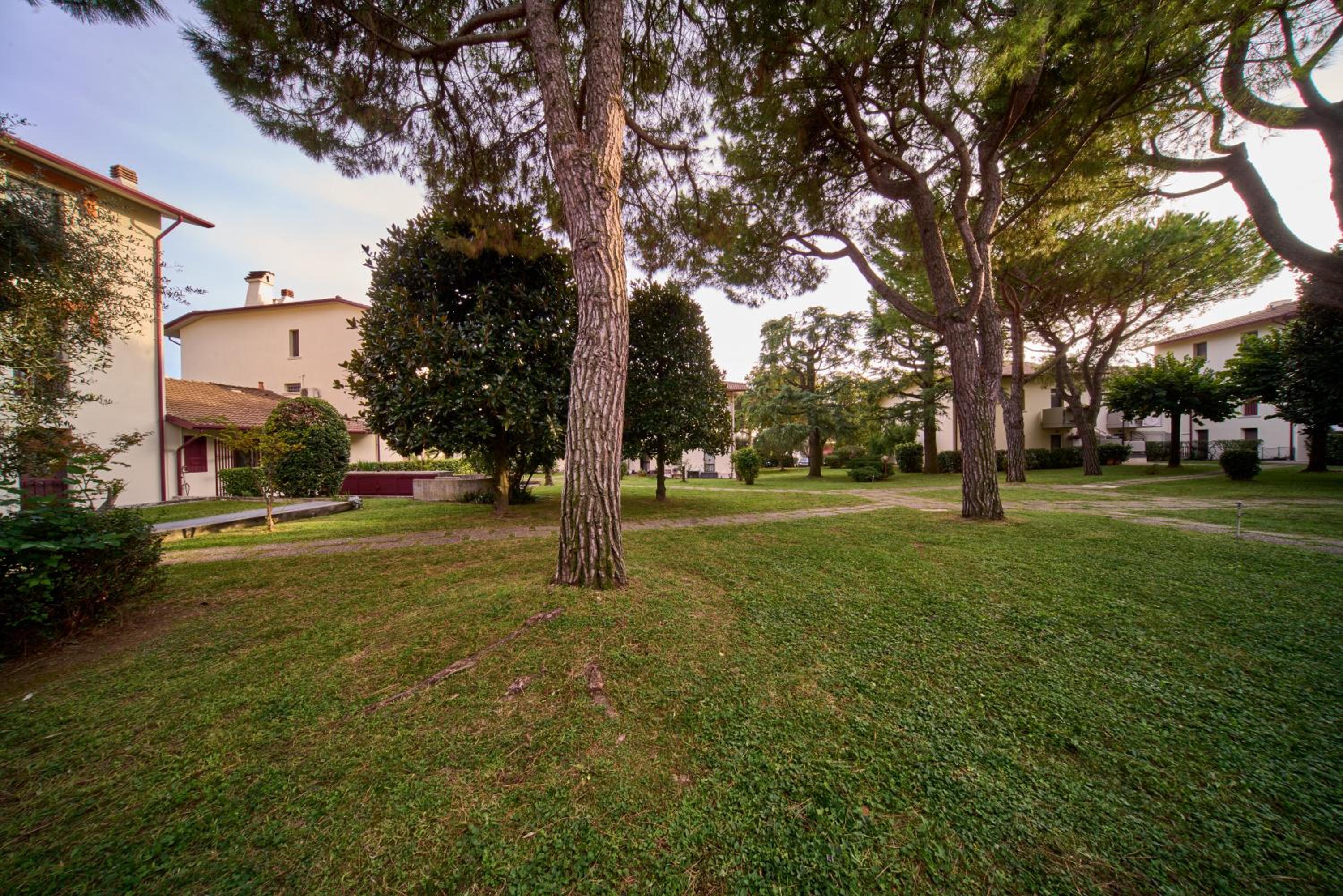 Photo 53