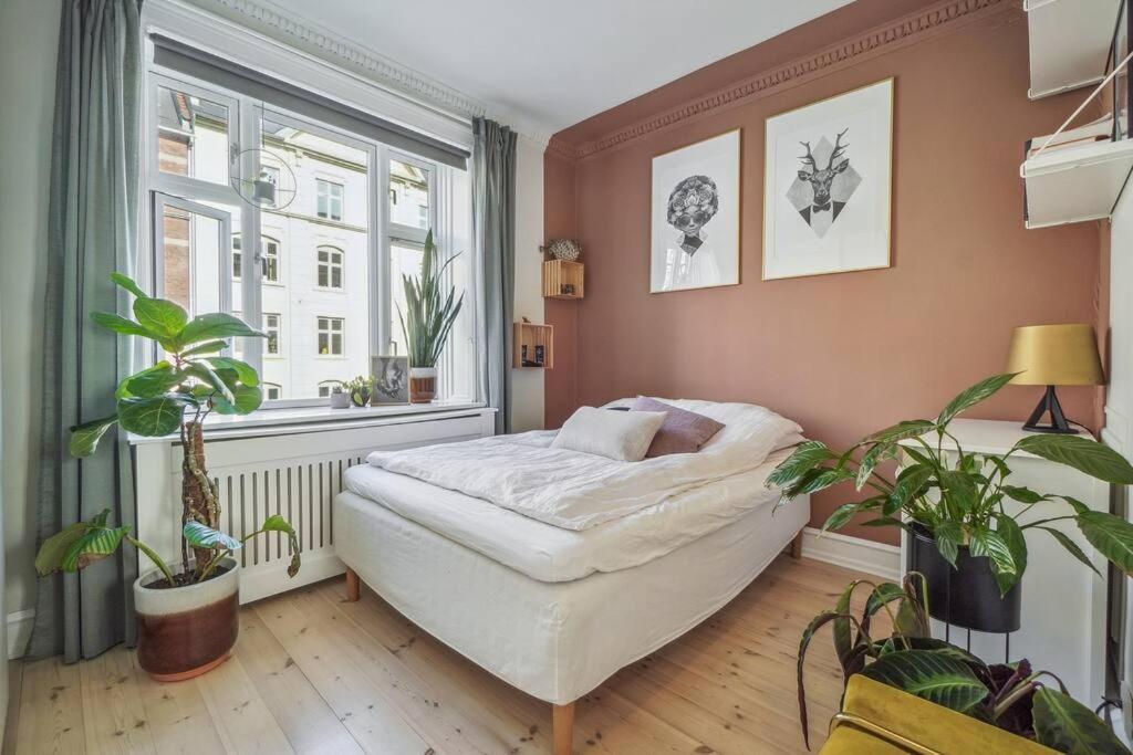 Nyistandsat 1BR Lejlighed i Hjertet af Nørrebro