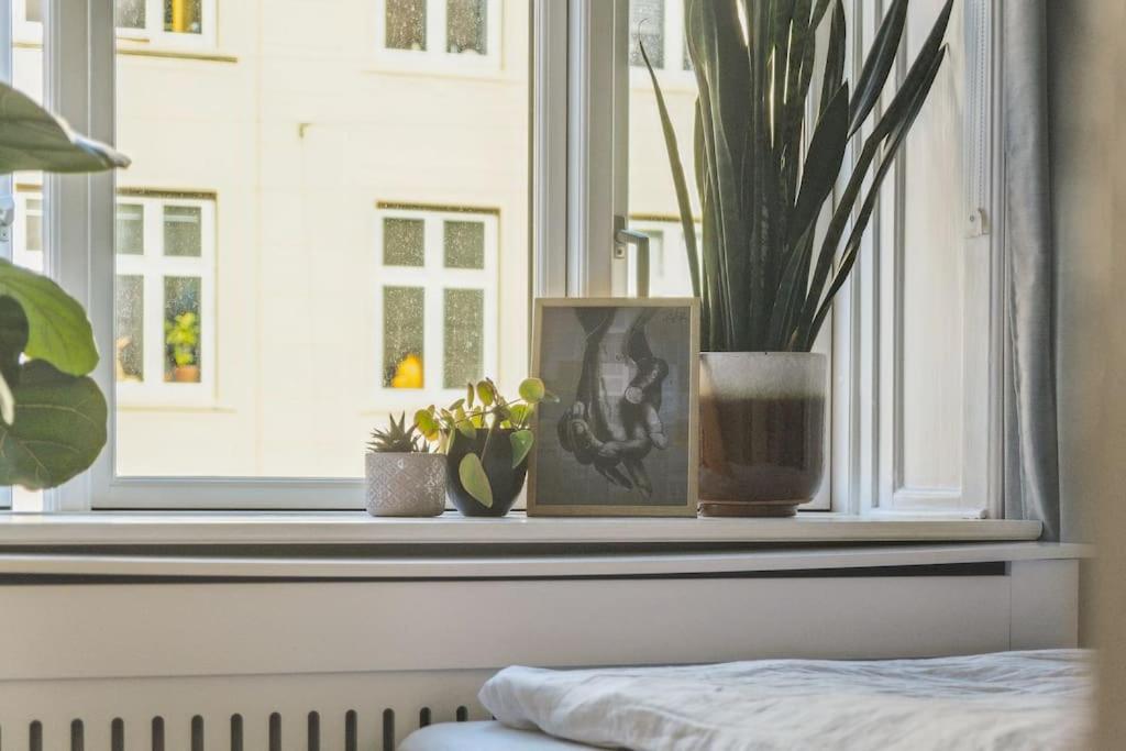 Nyistandsat 1BR Lejlighed i Hjertet af Nørrebro