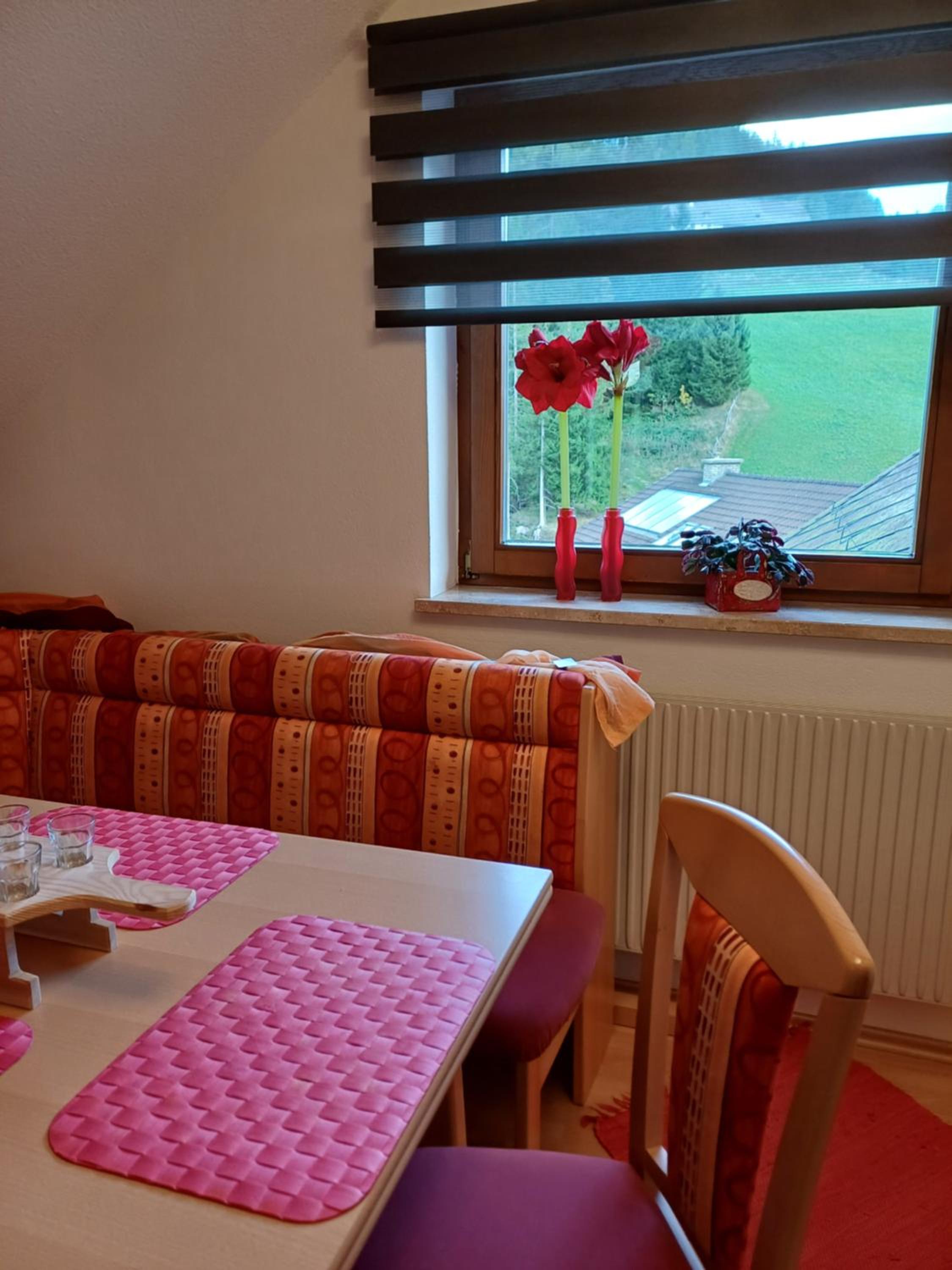 APARTMENT Eva in OBDACH