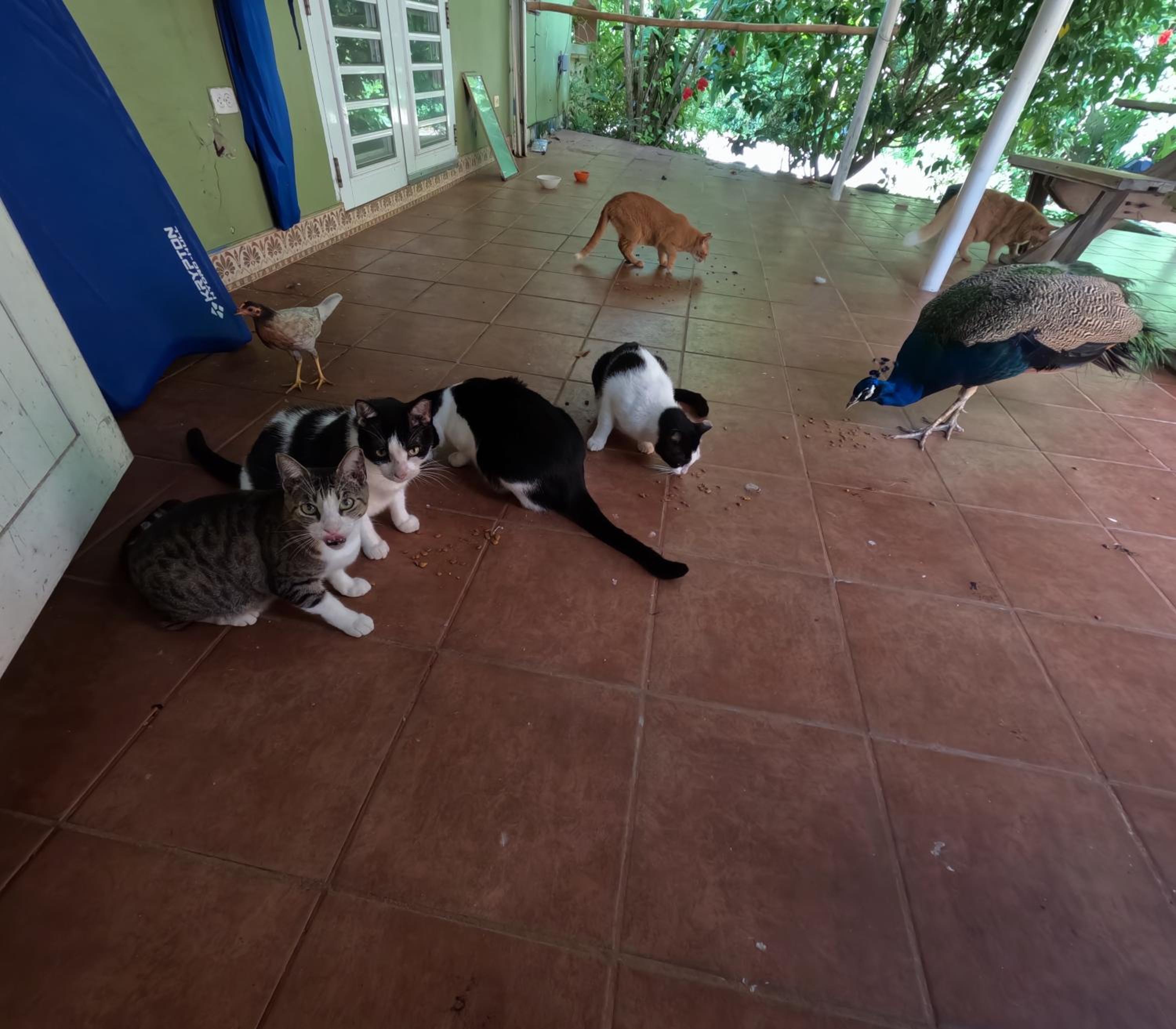 Isla Hermosa Guesthouse