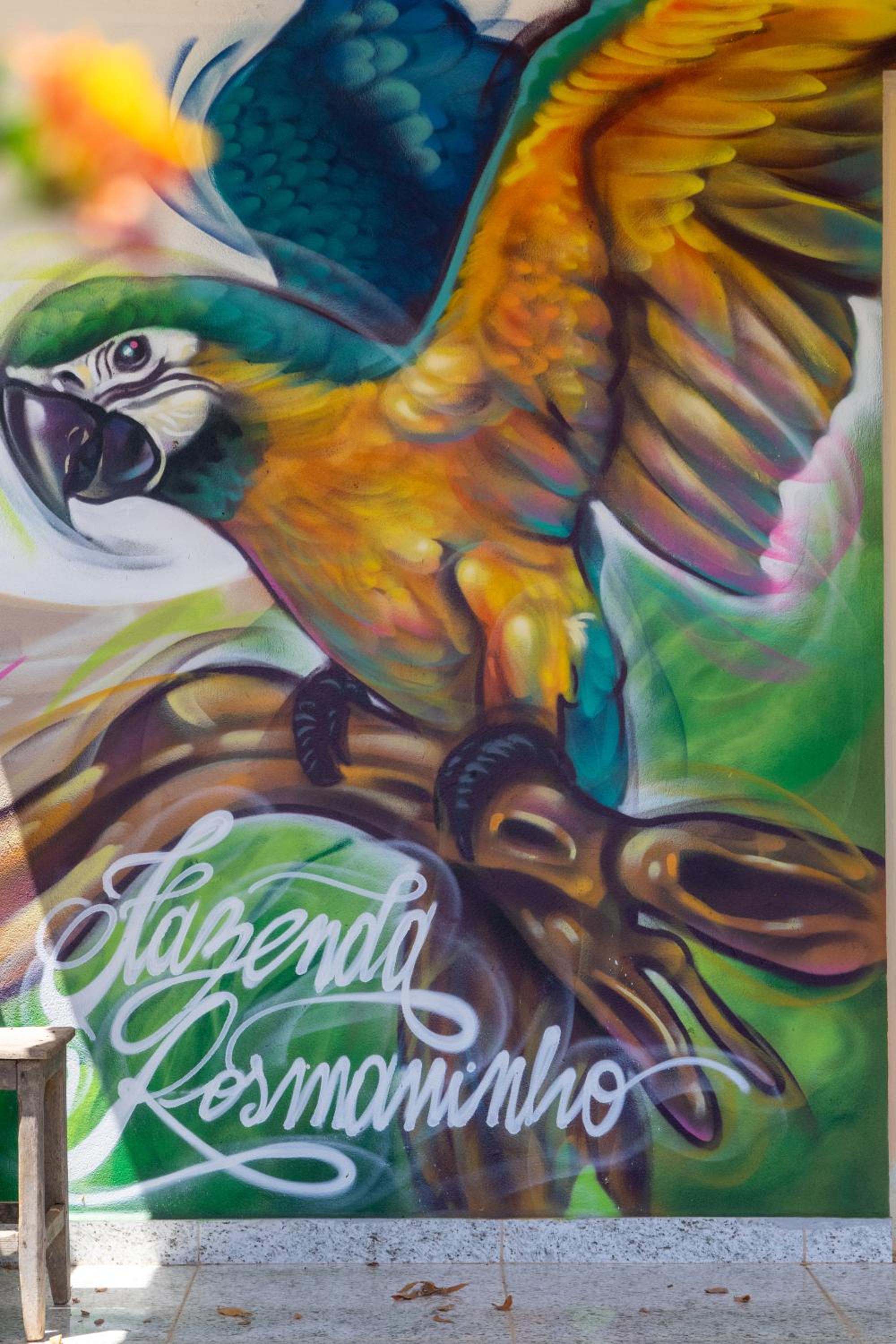 Fazenda Rosmaninho