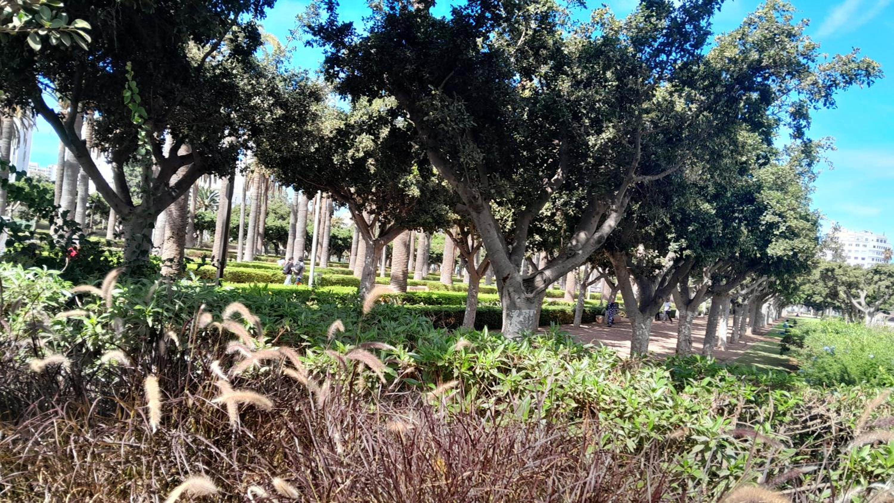 Photo 11