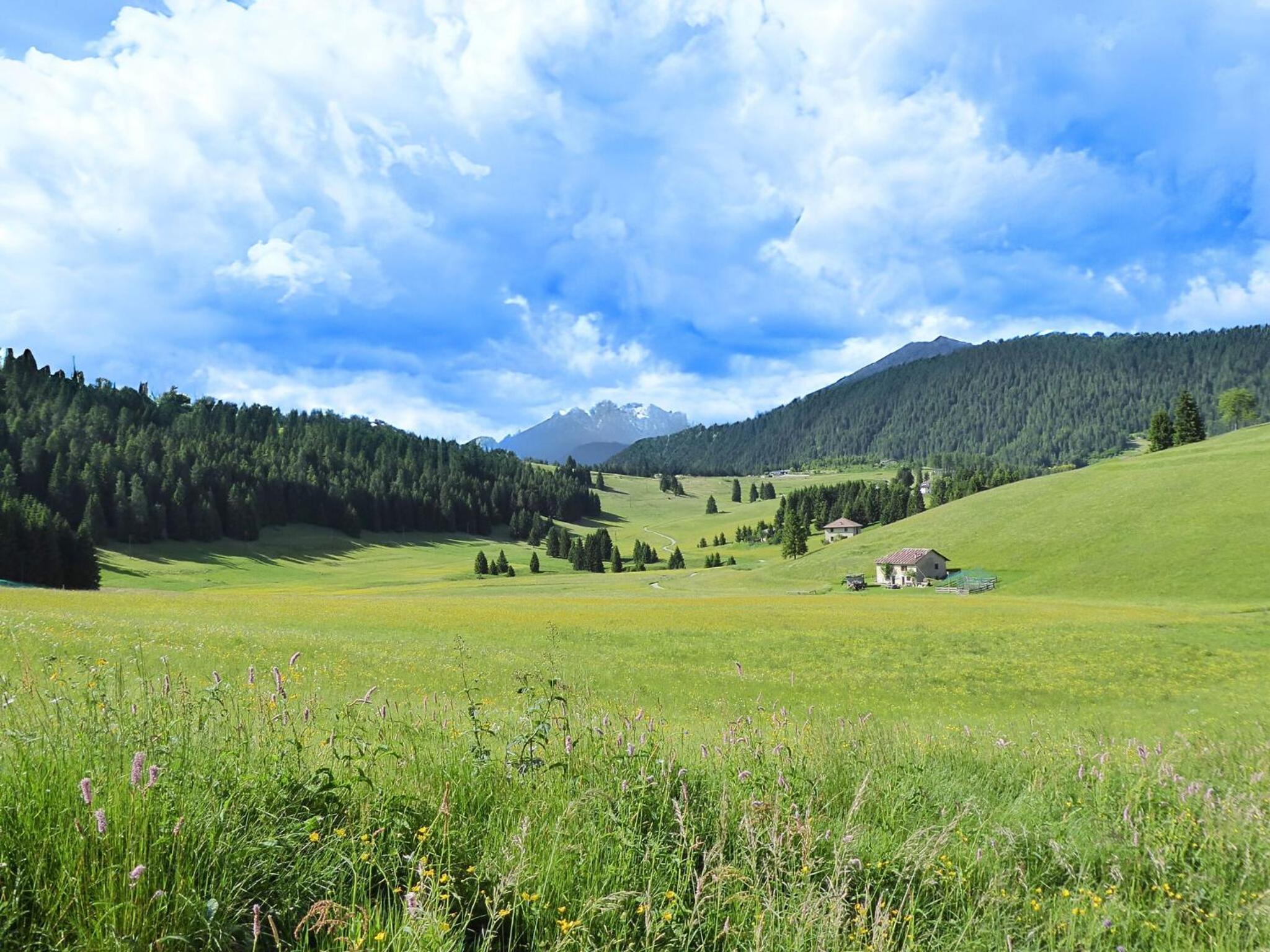 Apartment With Garden, Del Corlo Lake, Belluno view 5