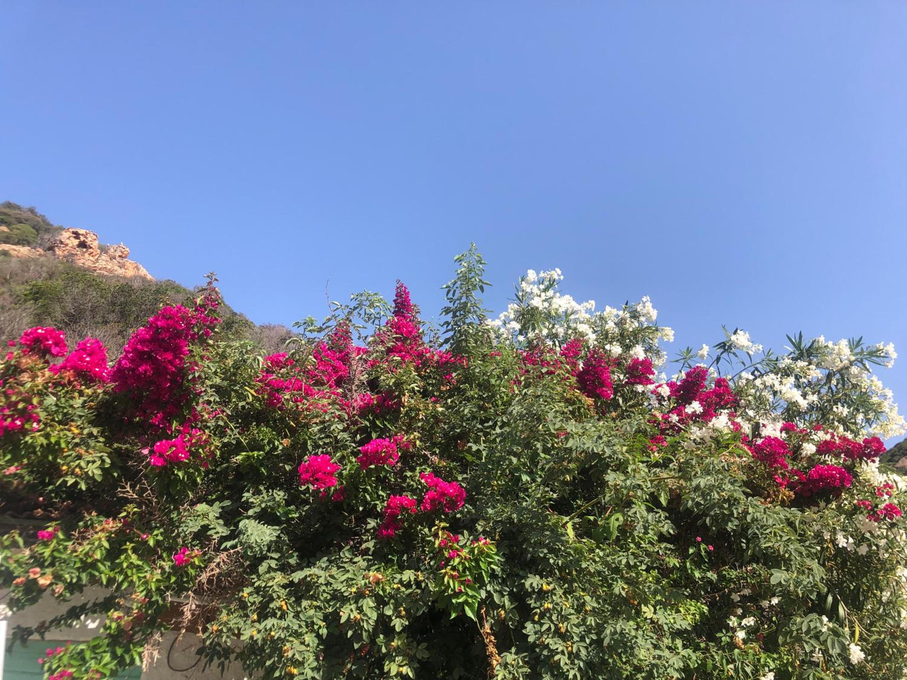Piana - vue mer et village