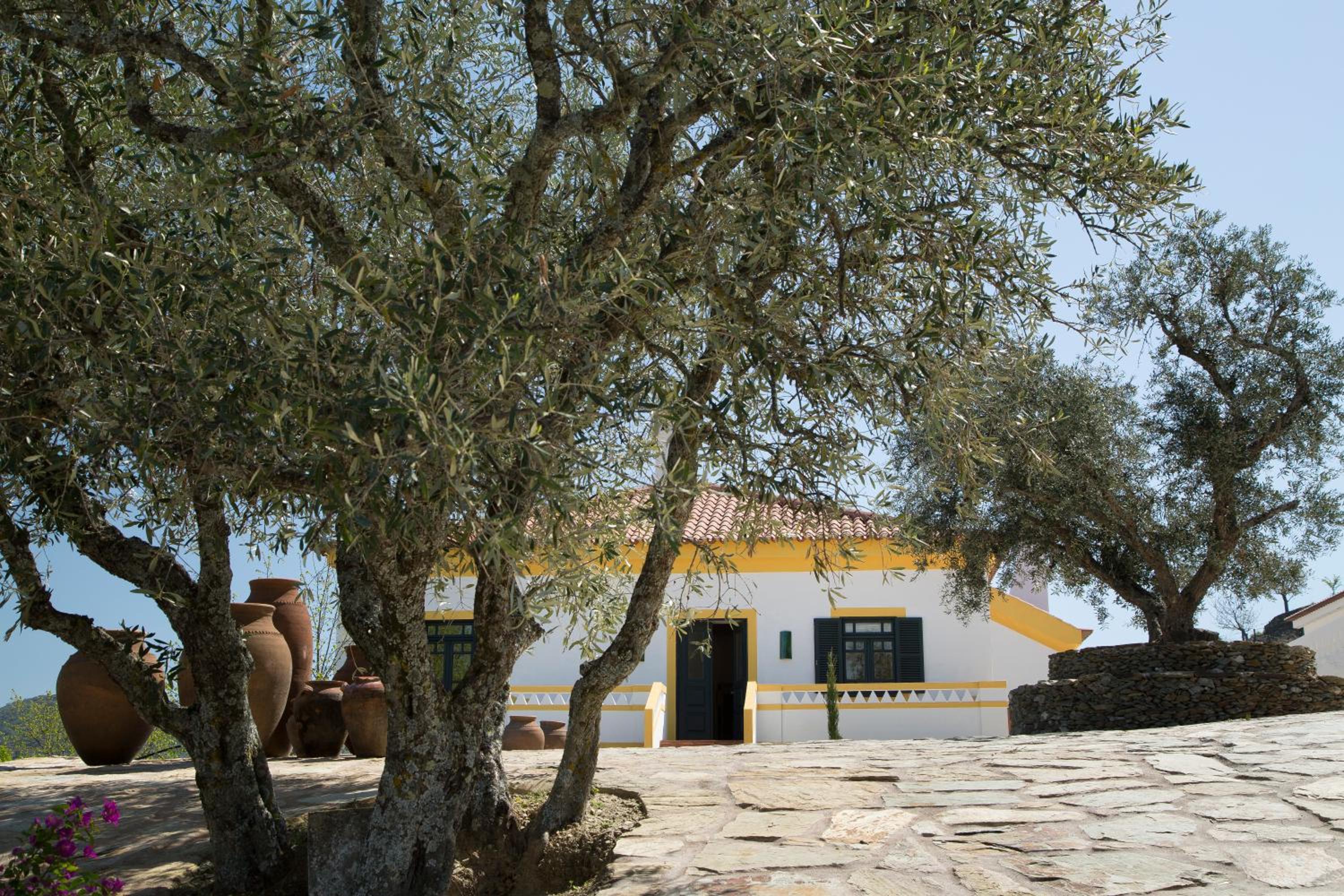 Quinta da Côrte