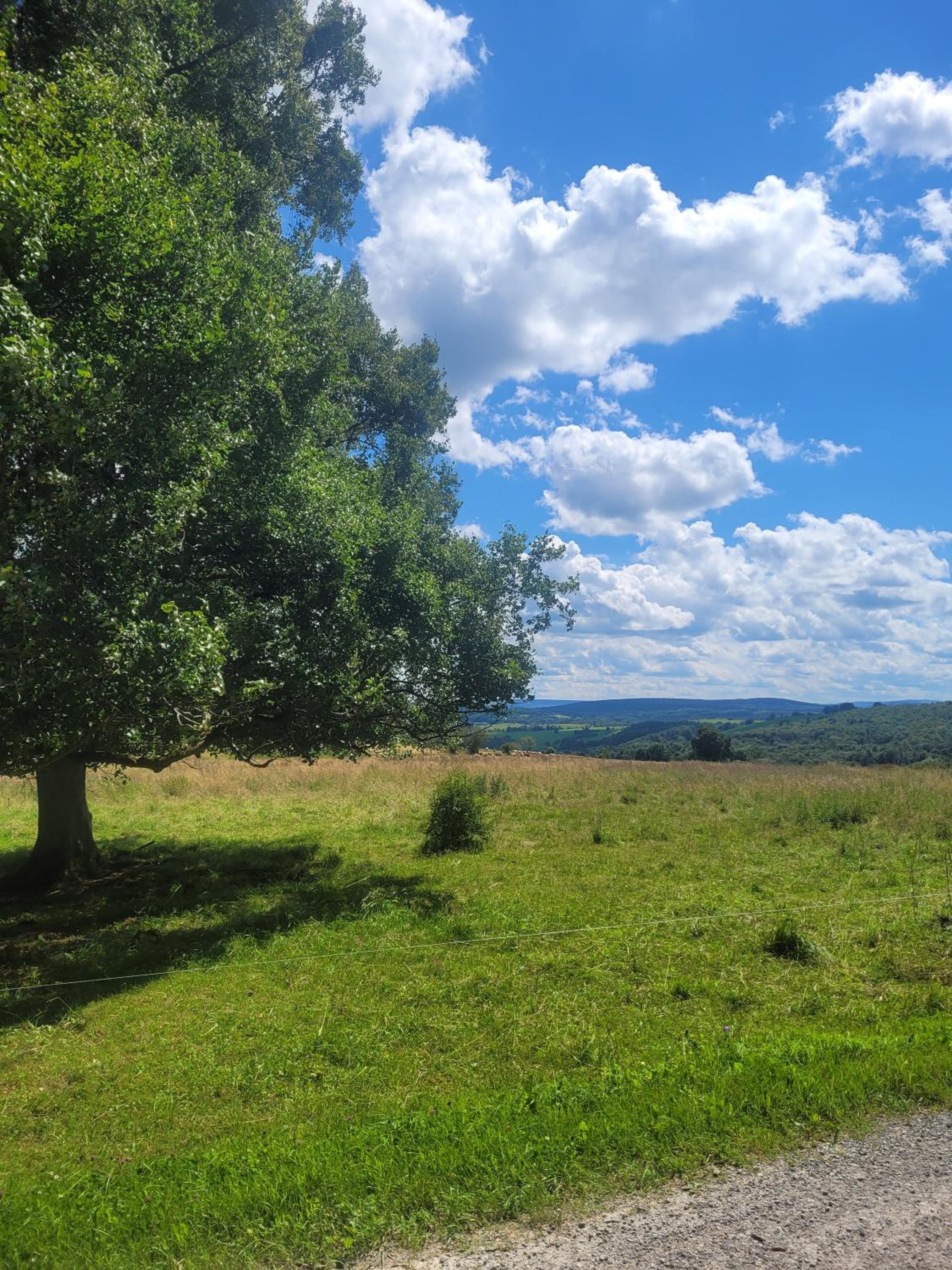 Ferienwohnung Rhön-Kutscher