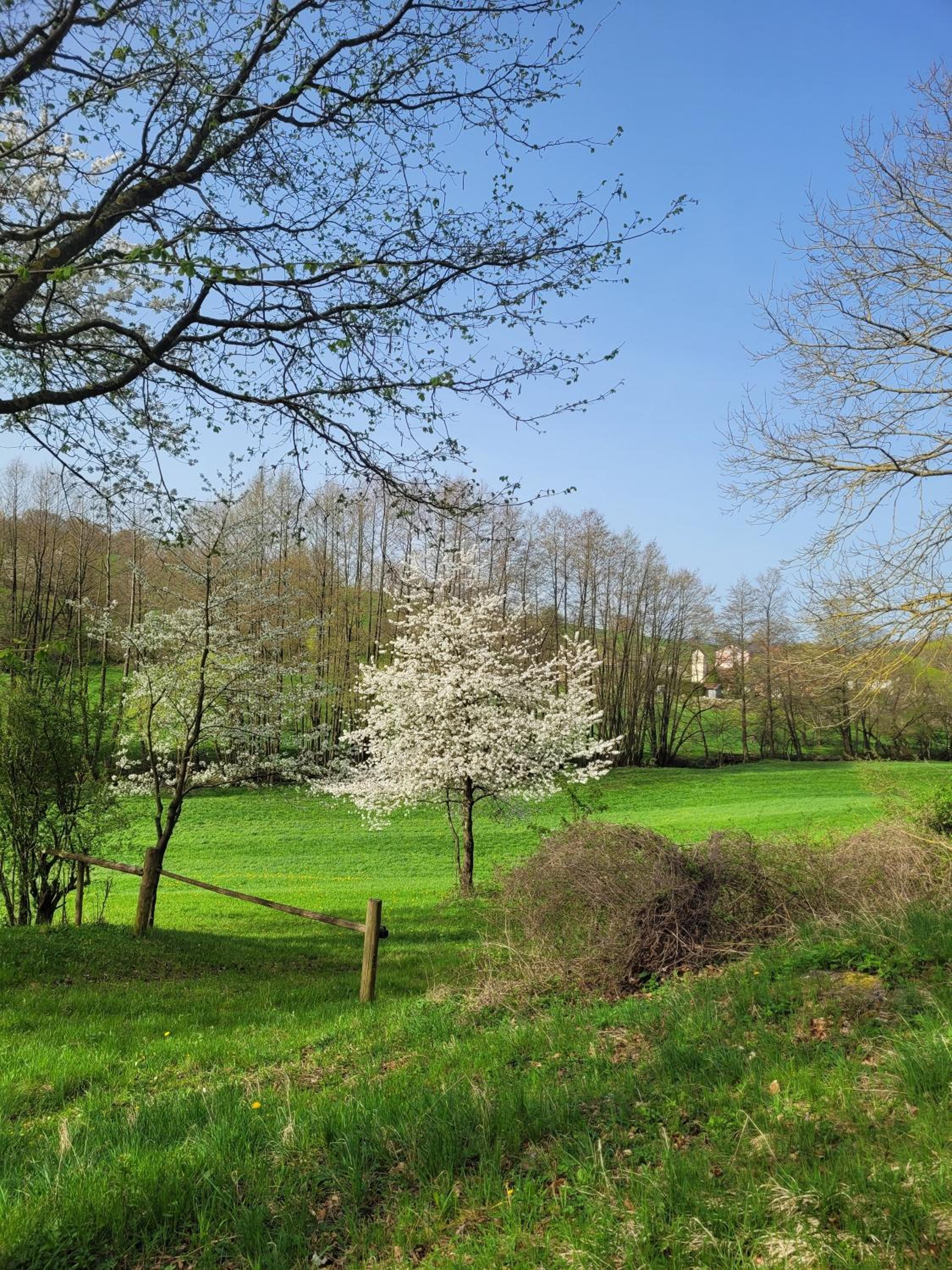 Ferienwohnung Rhön-Kutscher