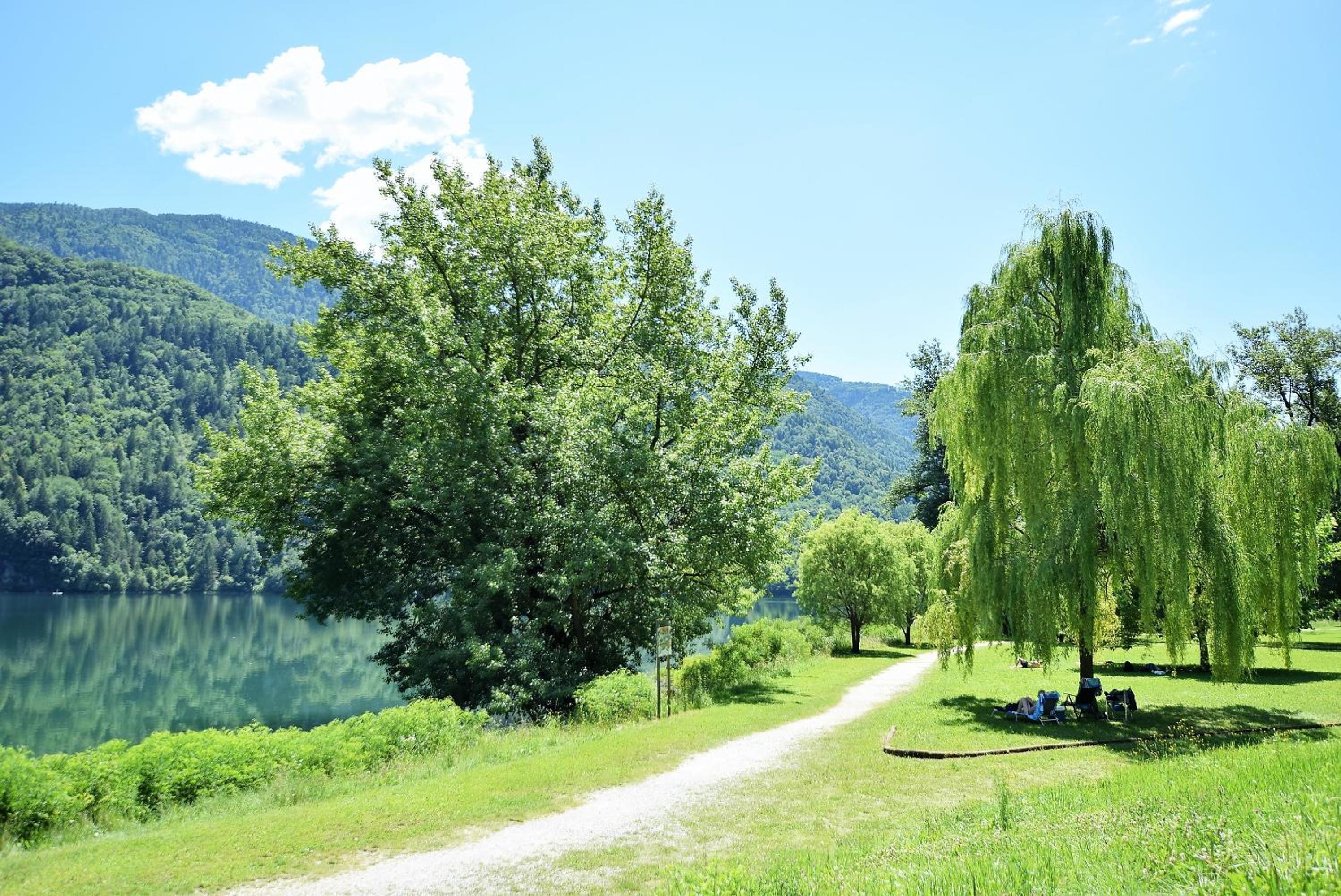 Photo 21