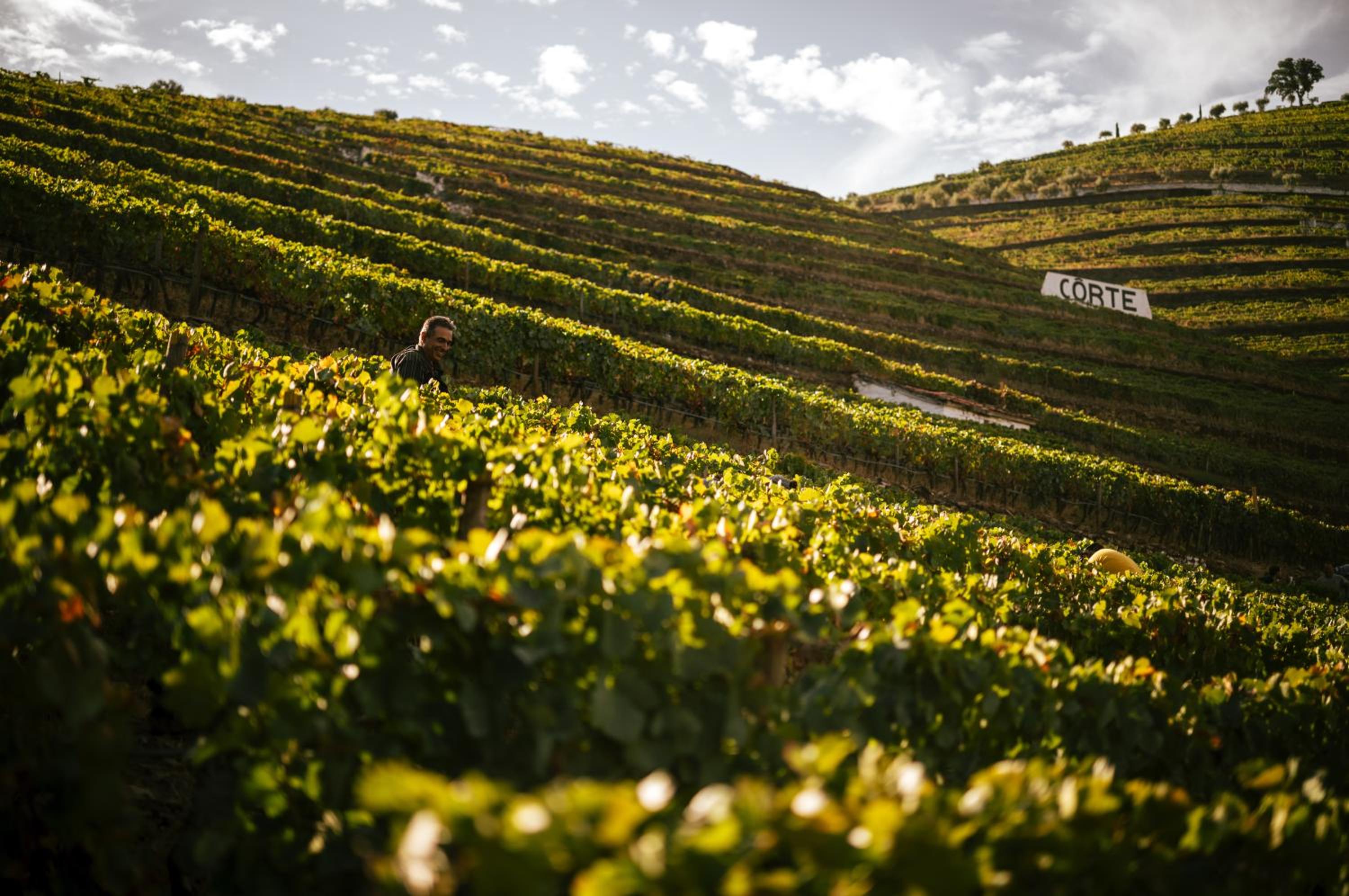 Quinta da Côrte