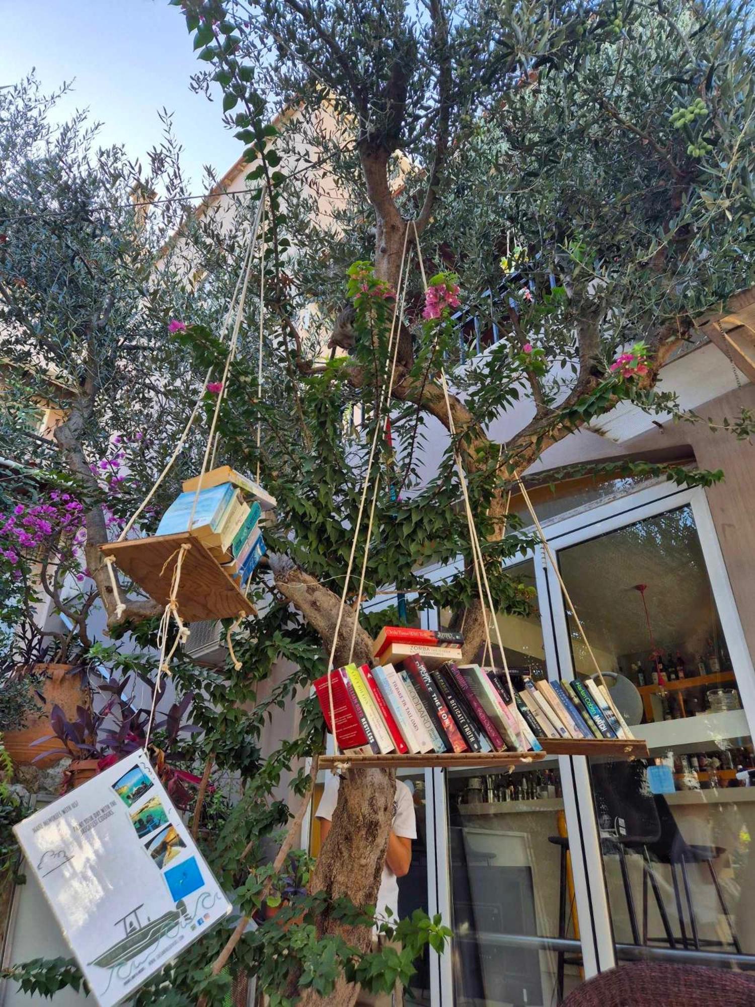 Bicorna - Chania