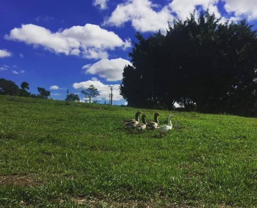 Casa de campo em Limeira
