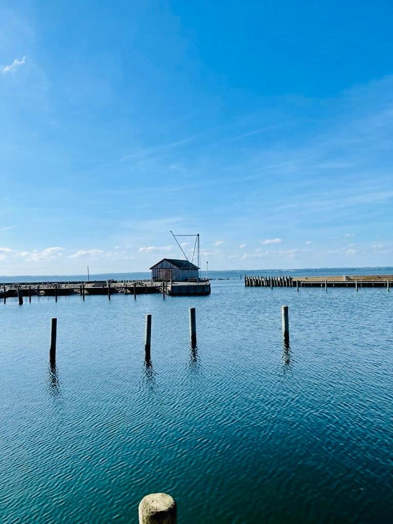 Sommerhus Dänemark