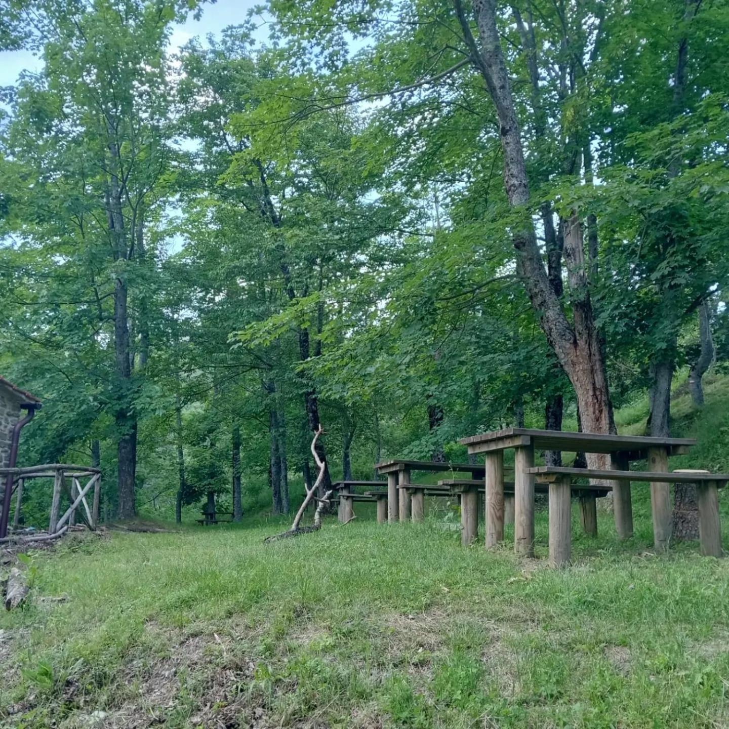 Rifugio Asqua photo 5