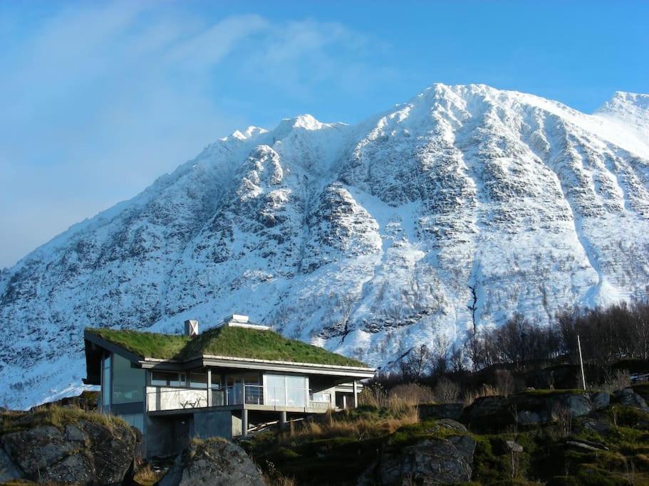 Lyngstuva Lodge - Aurora in Lyngen
